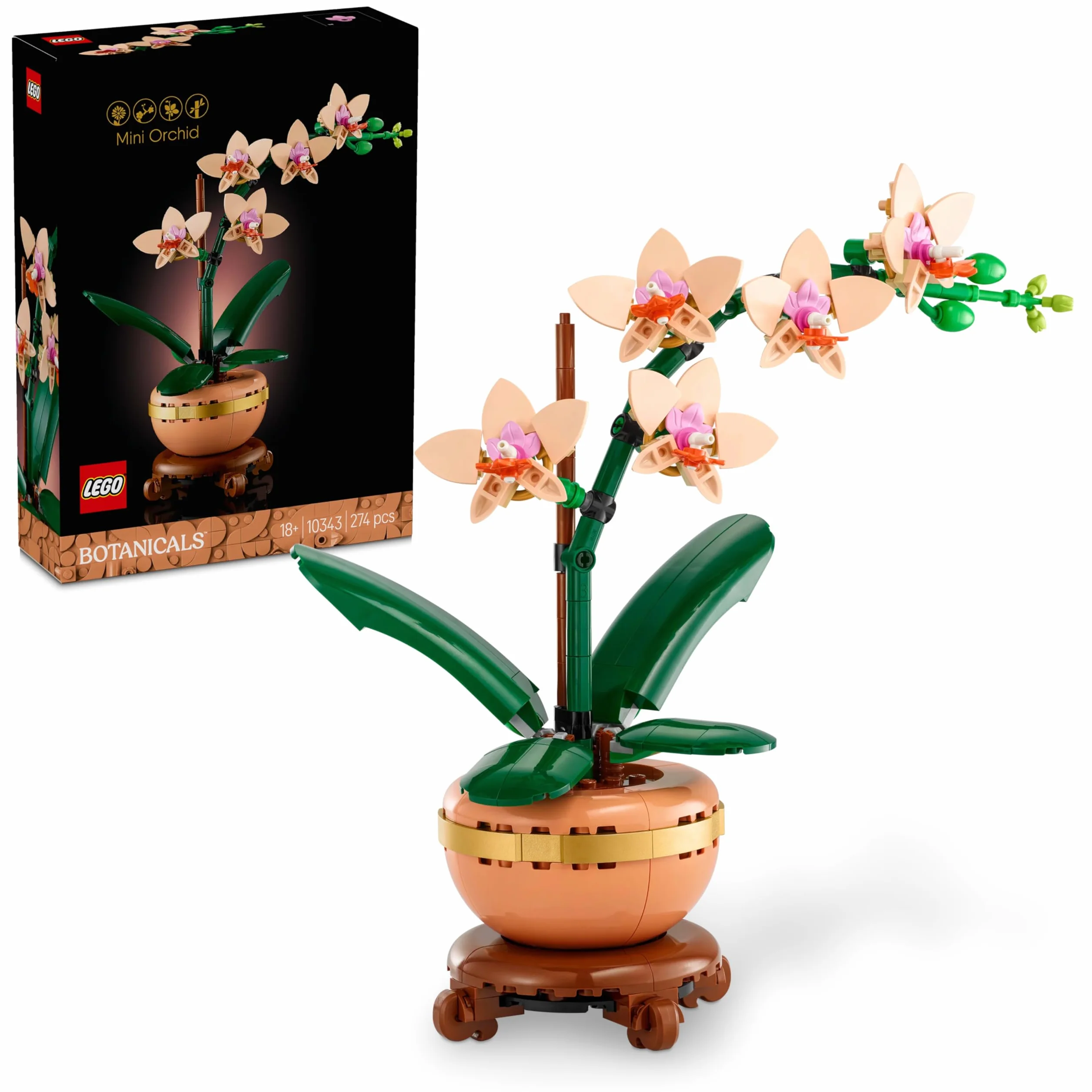 LEGO Botanicals Mała Orchidea, Kreatywny Zestaw dla Dorosłych Miłośników Roślin, Dekoracja do Domu i Biura ze Sztucznym Storczykiem w Doniczce, Pomysł na Prezent dla Kobiety i Mężczyzny, 10343