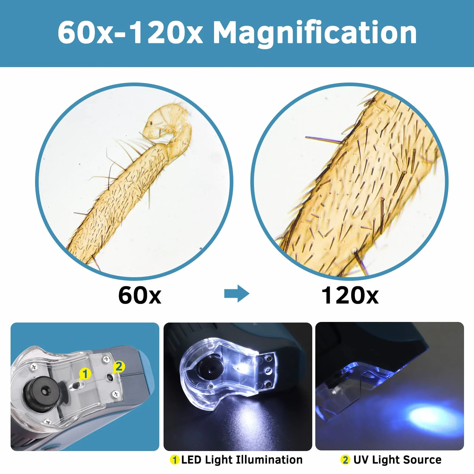 BEBANG Mikroskop kieszonkowy 60x-120x z podświetleniem LED Zoomem