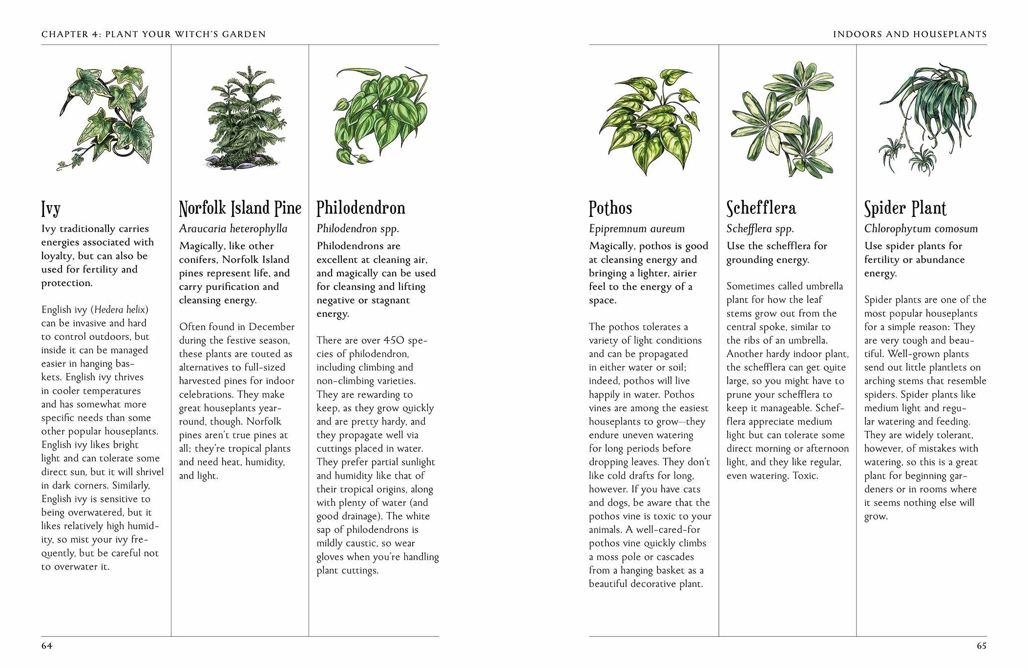 The Green Witch's Garden: Your Complete Guide to Creating and Cultivating a Magical Garden Space