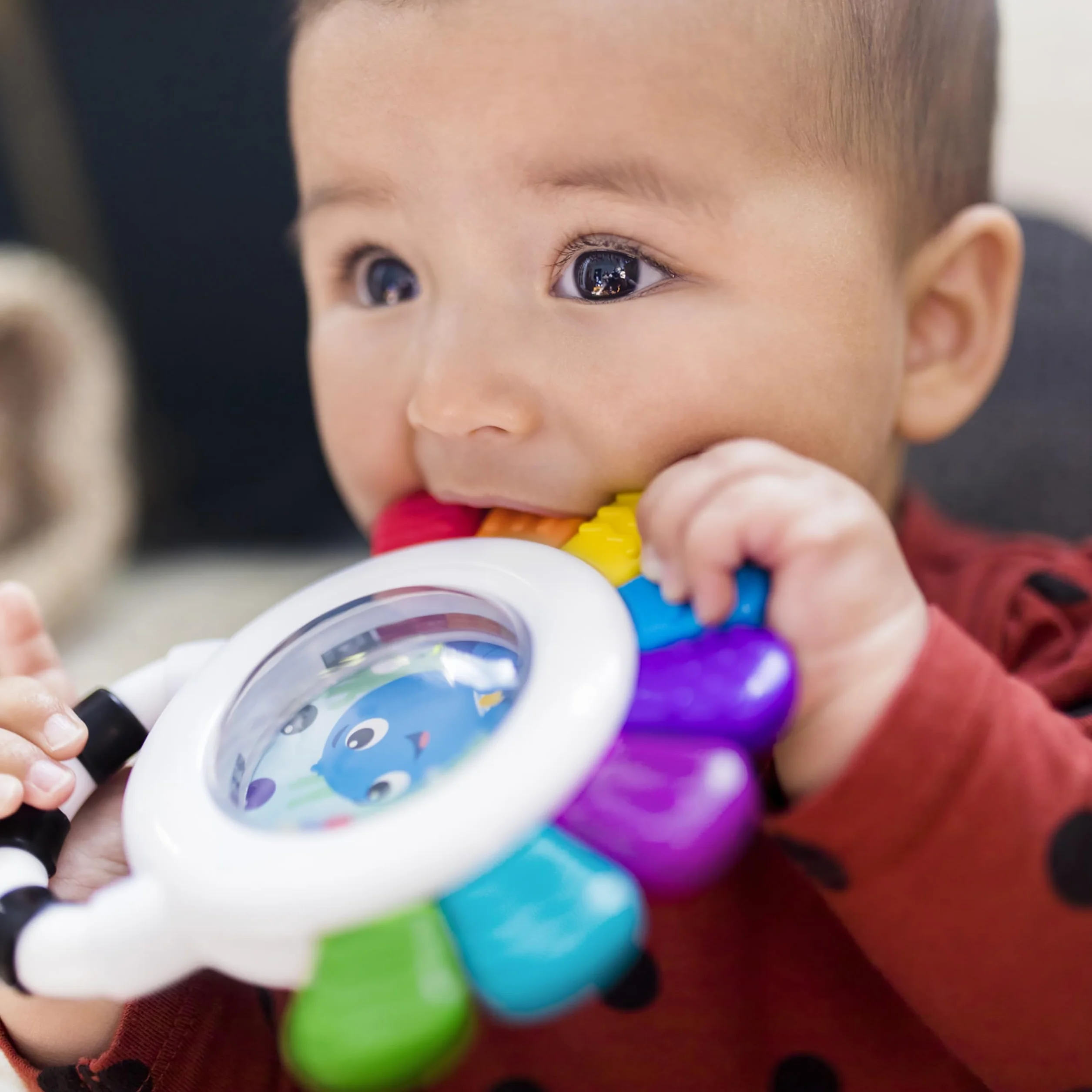 Baby Einstein Outstanding opus, sensoryczna grzechotka i gryzak w kształcie ośmiornicy, nie zawiera BPA, chłodząca, wspomaga wzrok, słuch i uczucie, 12487, wielokolorowa
