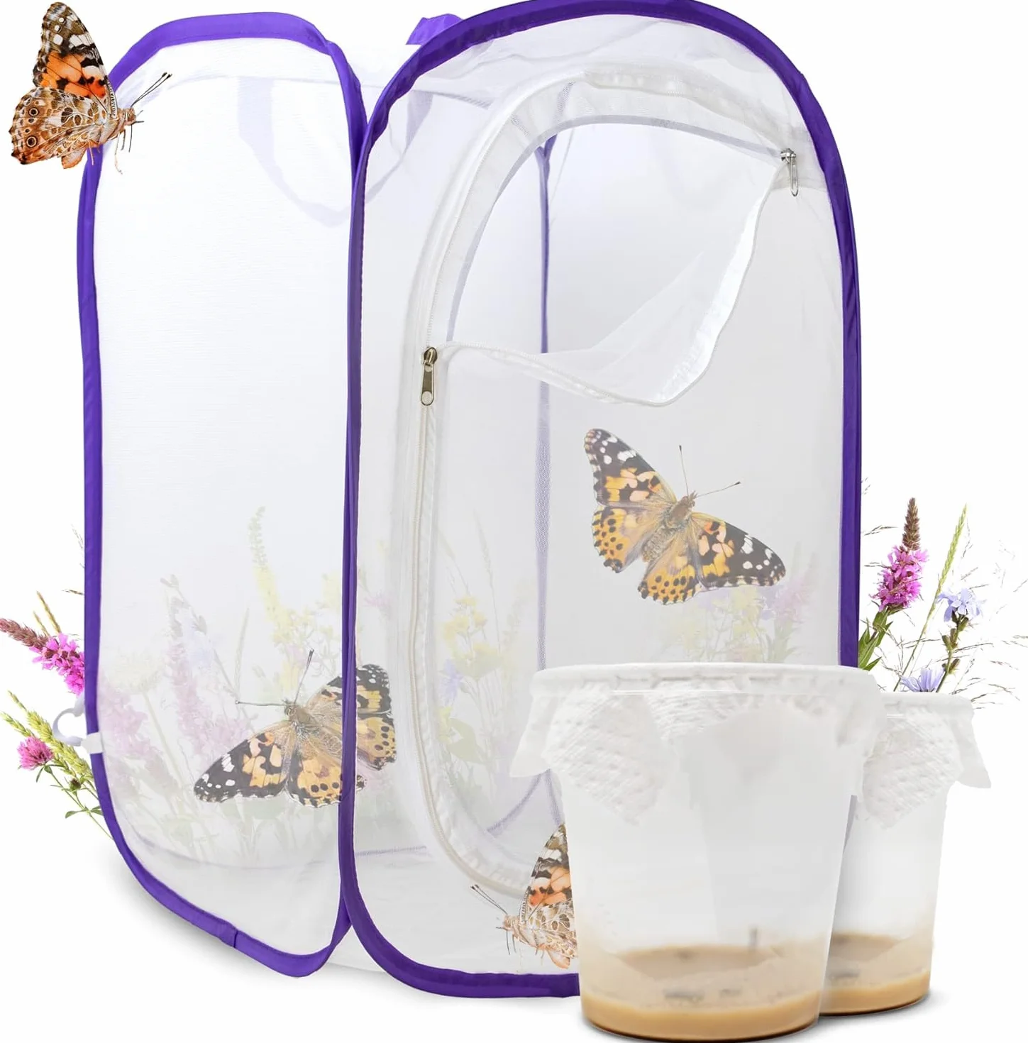 Zestaw do hodowli motyli dla dzieci | ok. 14 gąsienic + duże siedlisko (40 x 40 x 60 cm) | gratis e-book + materiały do nauki | domowa hodowla gąsienic od 3 roku życia | hodowla motyli