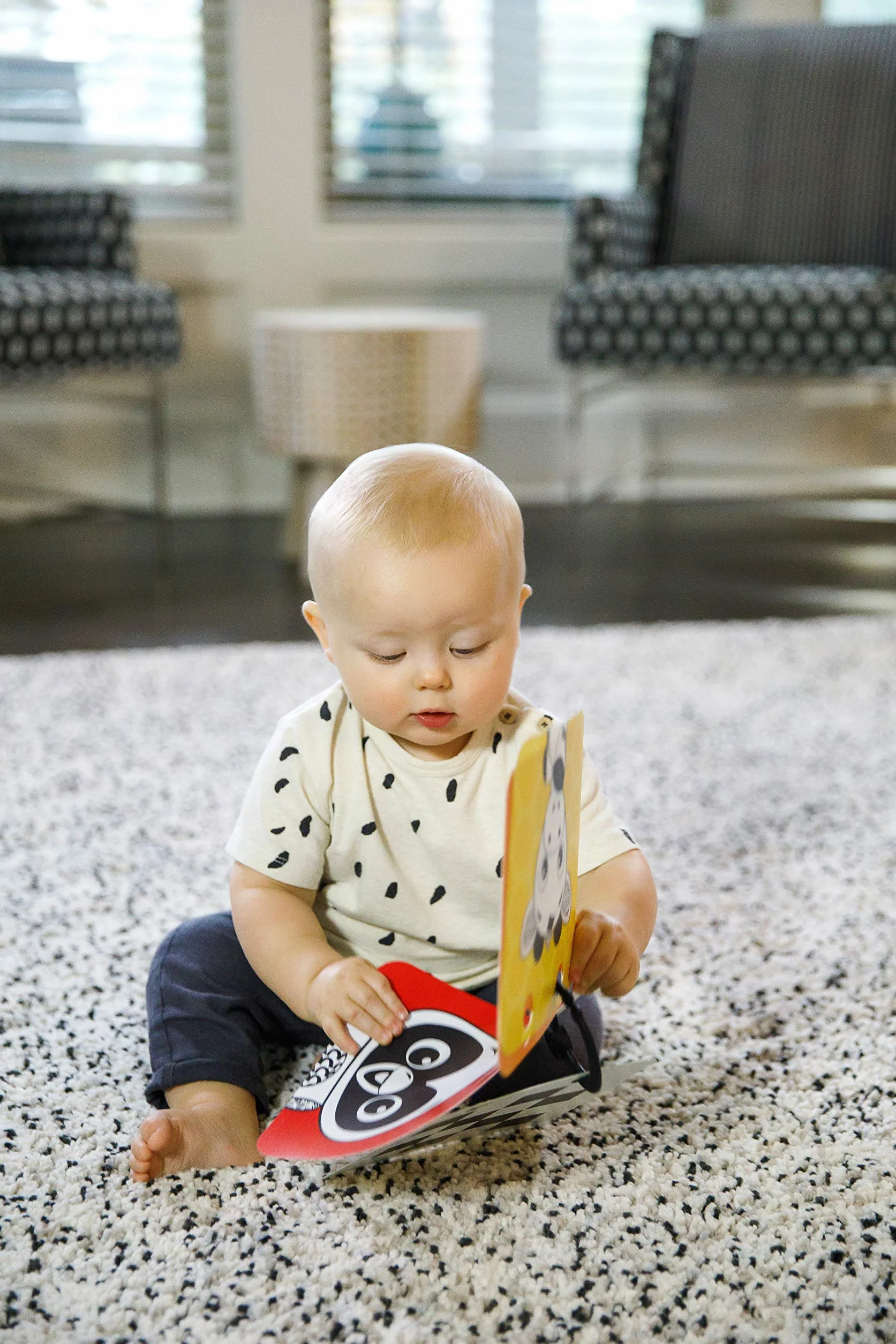 Baby Einstein, Flip For Art, lustra i karty o silnym kontraście, idealne do zabawy na brzuchu lub w podróży