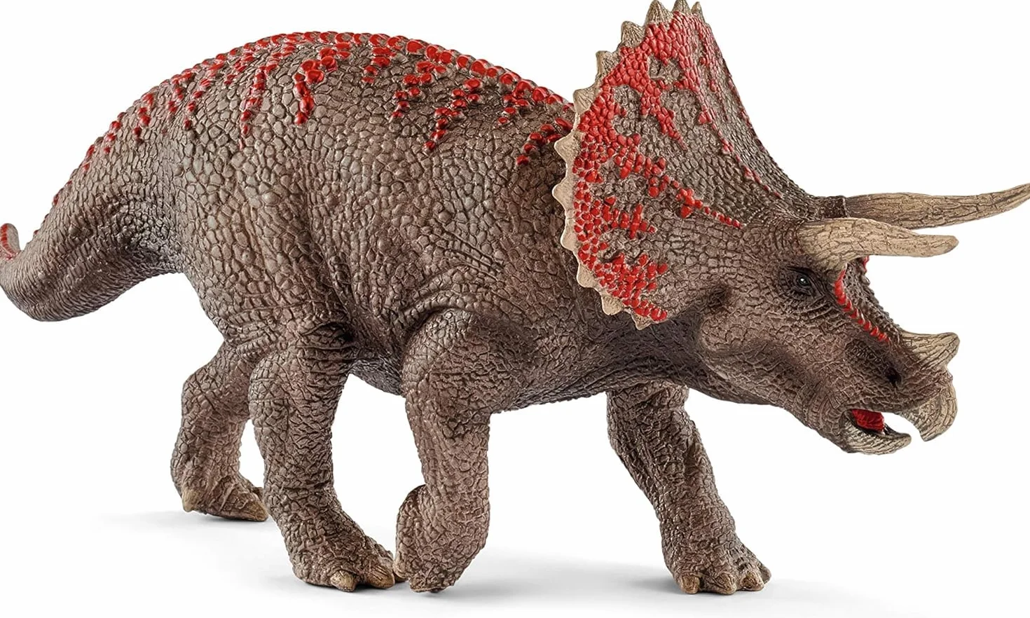 Triceratops