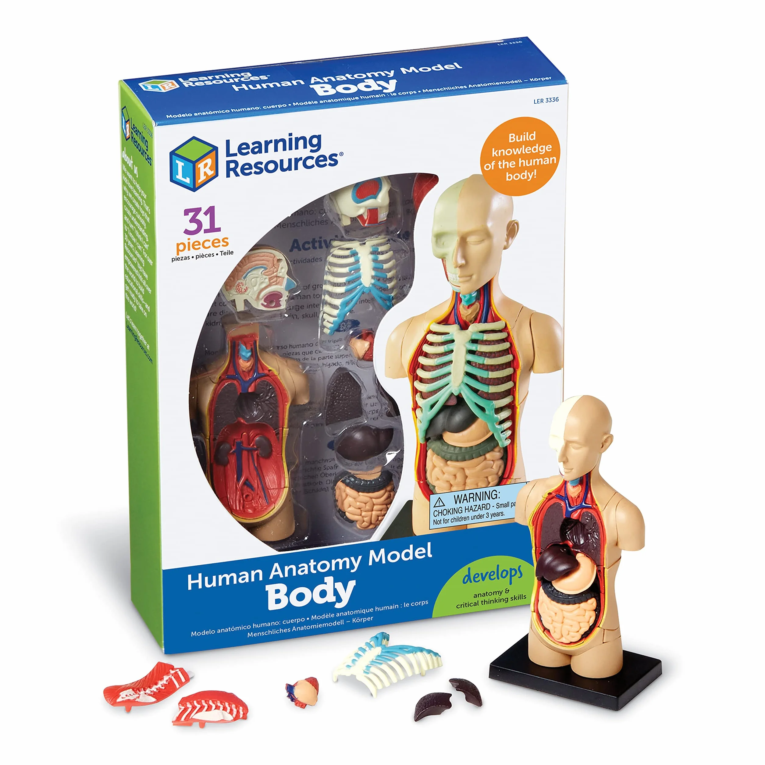 Learning Resources Czlowiek Anatomia Model Czlowiek Cialo 31-Kawałek Zestaw
