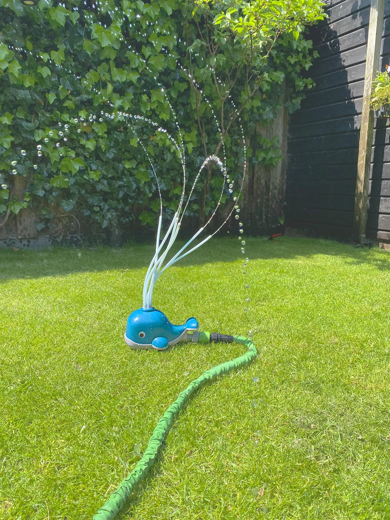 BS Toys Wieloryb wodny - Gry wodne - Zabawki wodne dla dzieci - Zraszacze - Gry na świeżym powietrzu - Zabawki ogrodowe - Odpowiedni dla dzieci od 3 lat - 22,5 x 14 x 11 cm - Niebieski