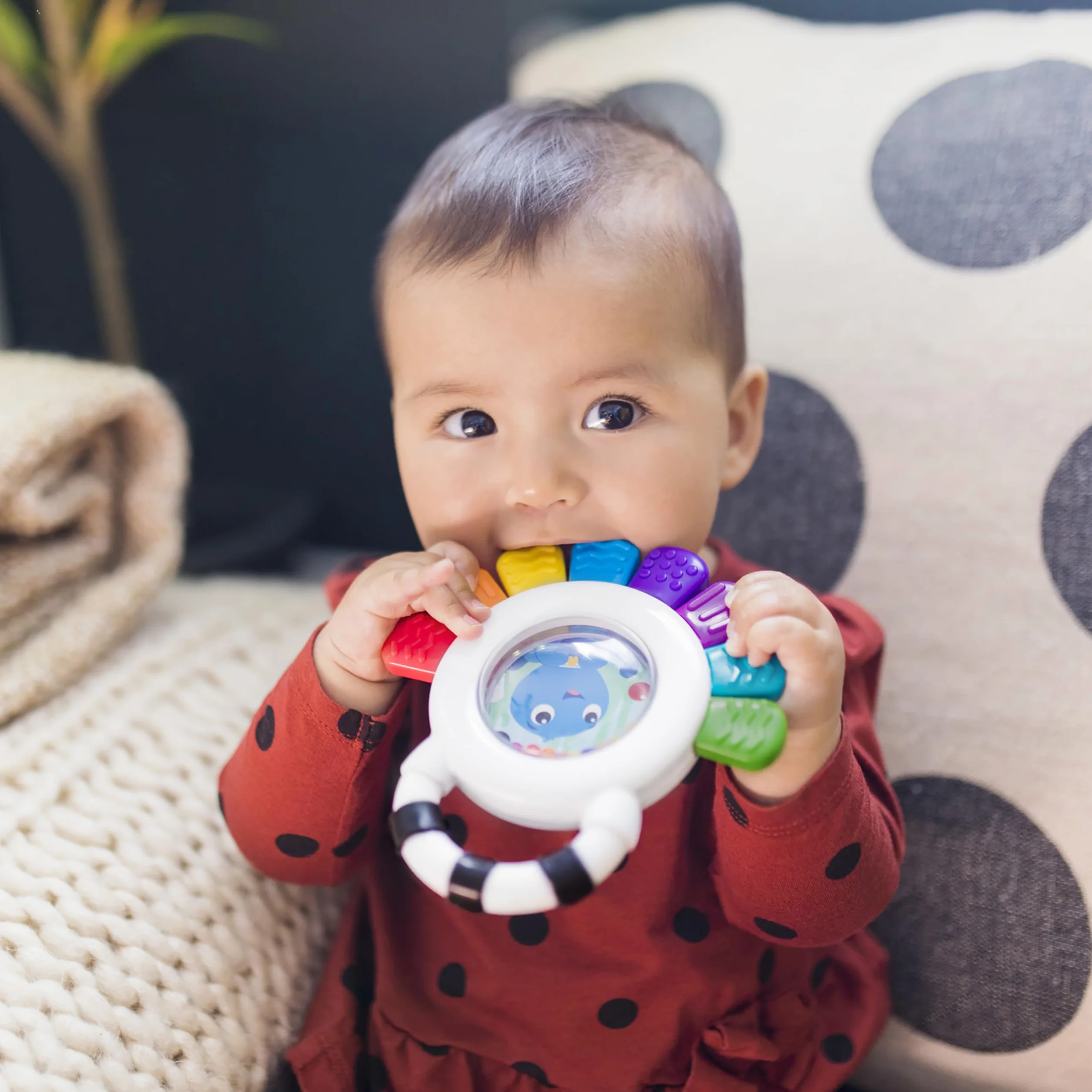 Baby Einstein Outstanding opus, sensoryczna grzechotka i gryzak w kształcie ośmiornicy, nie zawiera BPA, chłodząca, wspomaga wzrok, słuch i uczucie, 12487, wielokolorowa