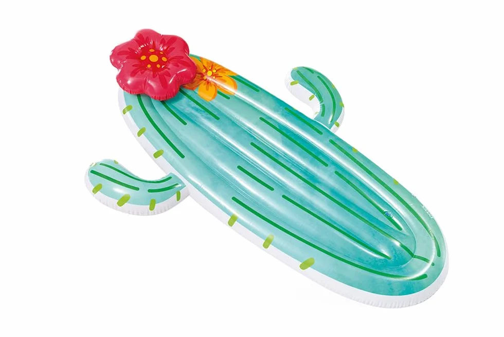 Intex Cactus Float, Inflated Size: 1.80m x 1.30m x 28cm (58793EU)