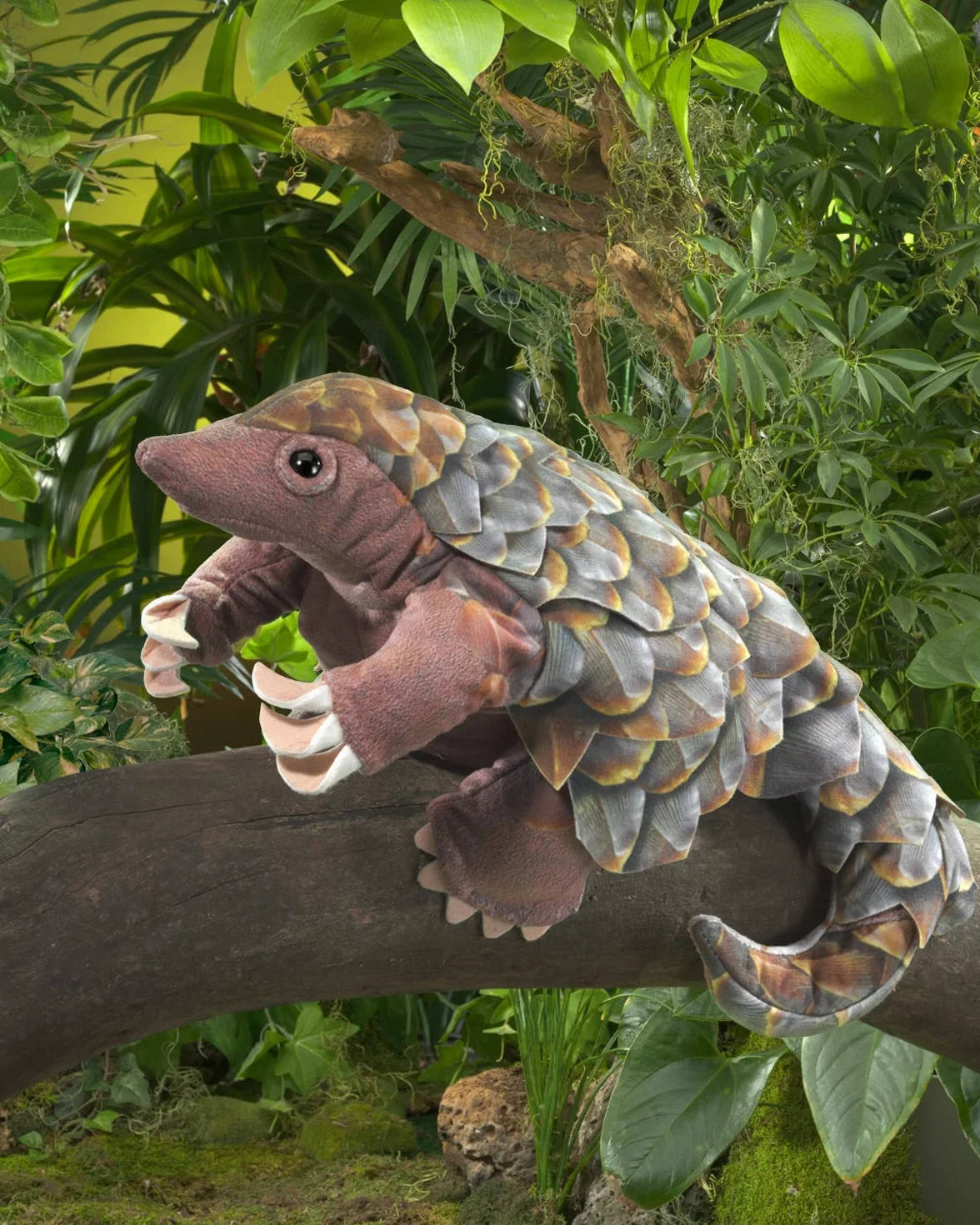 Szyszki jodłowe/pangolin