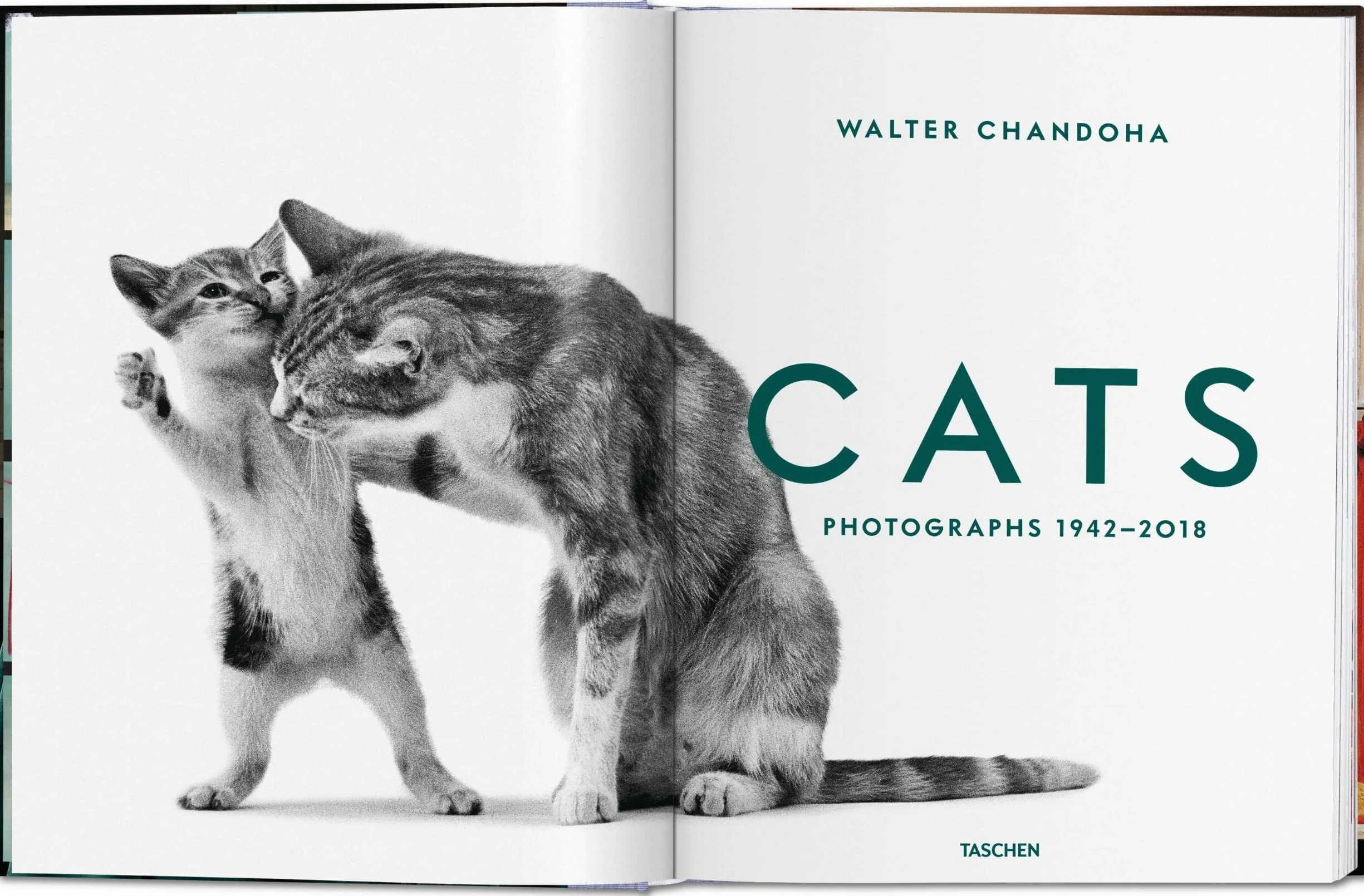 Cats: Photographs (1942-2018)