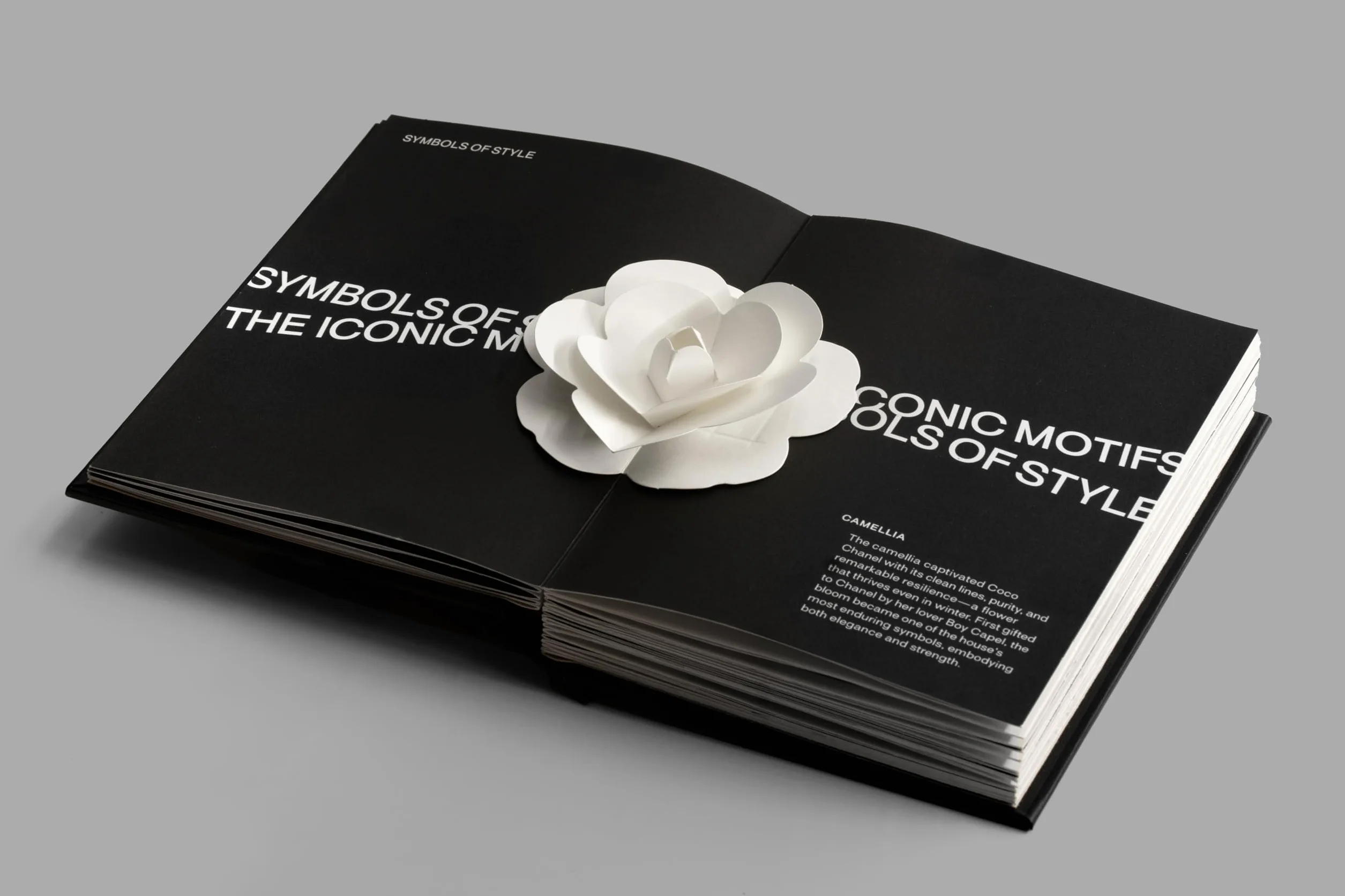 Fashion Unfolded - Chanel /anglais: 1