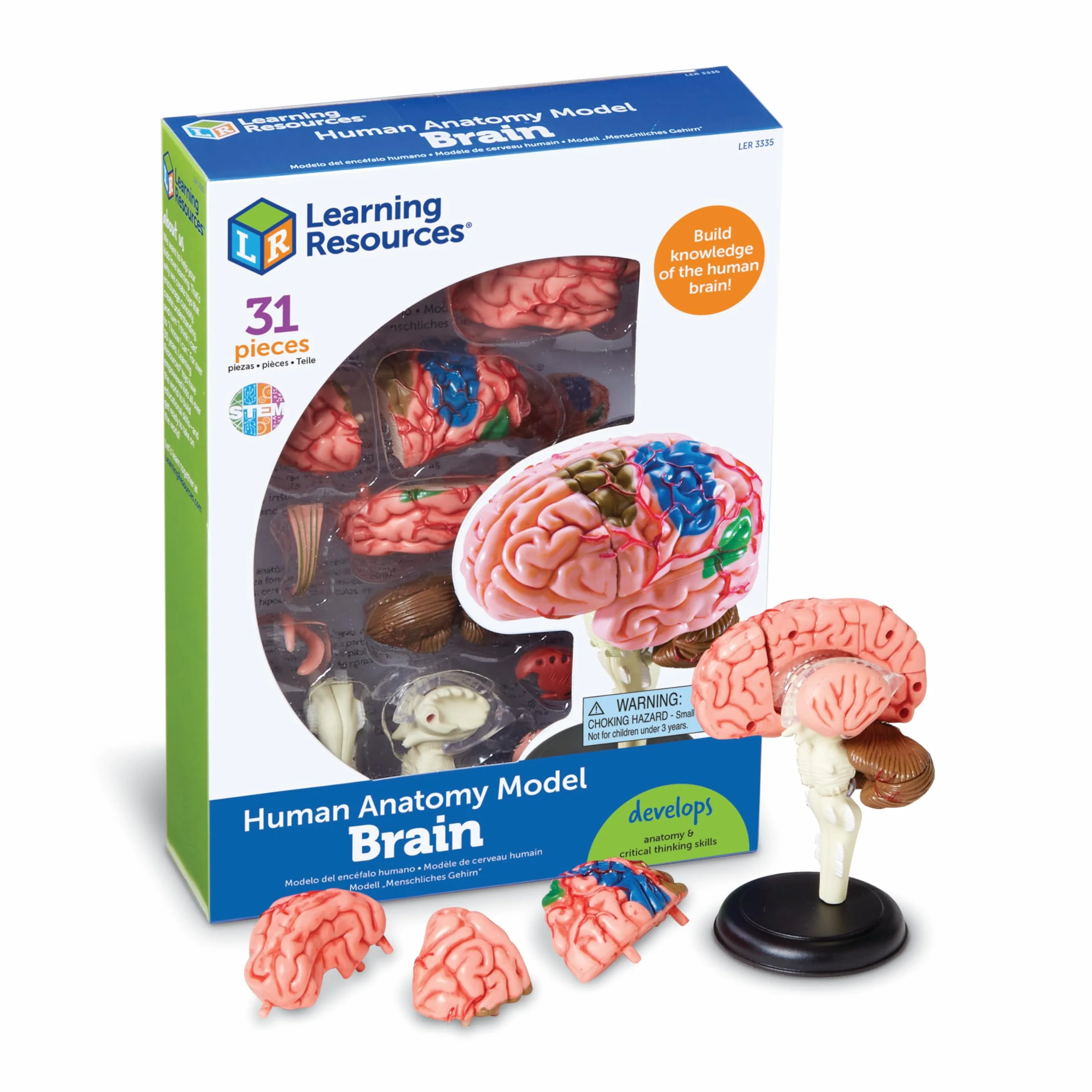 Learning Resources Czlowiek Anatomia Model Czlowiek Mózg 31-Kawałek Zestaw