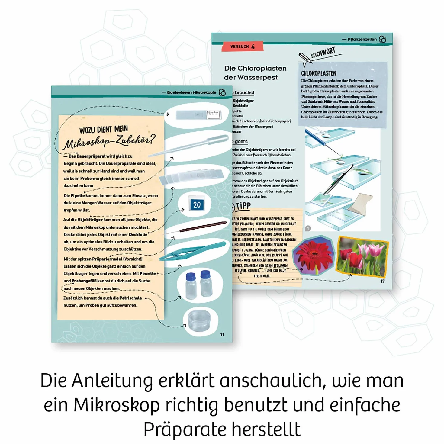 Entdecker-Mikroskop