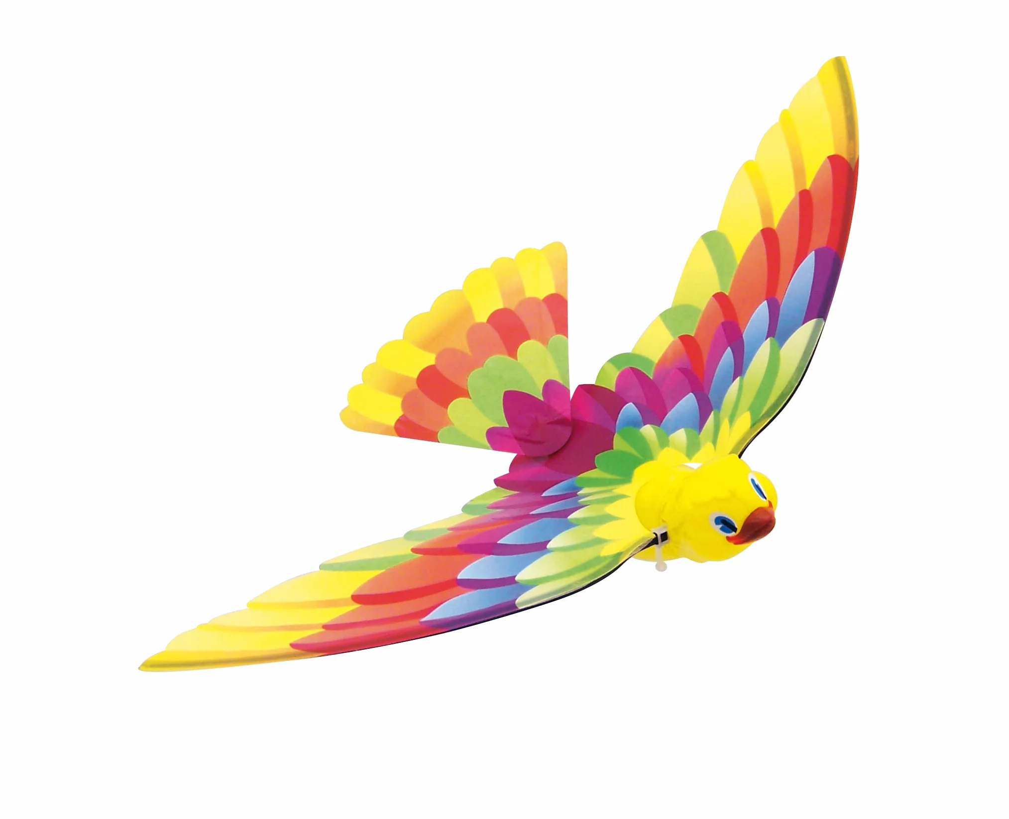 Caly 102F TIMMY Bird