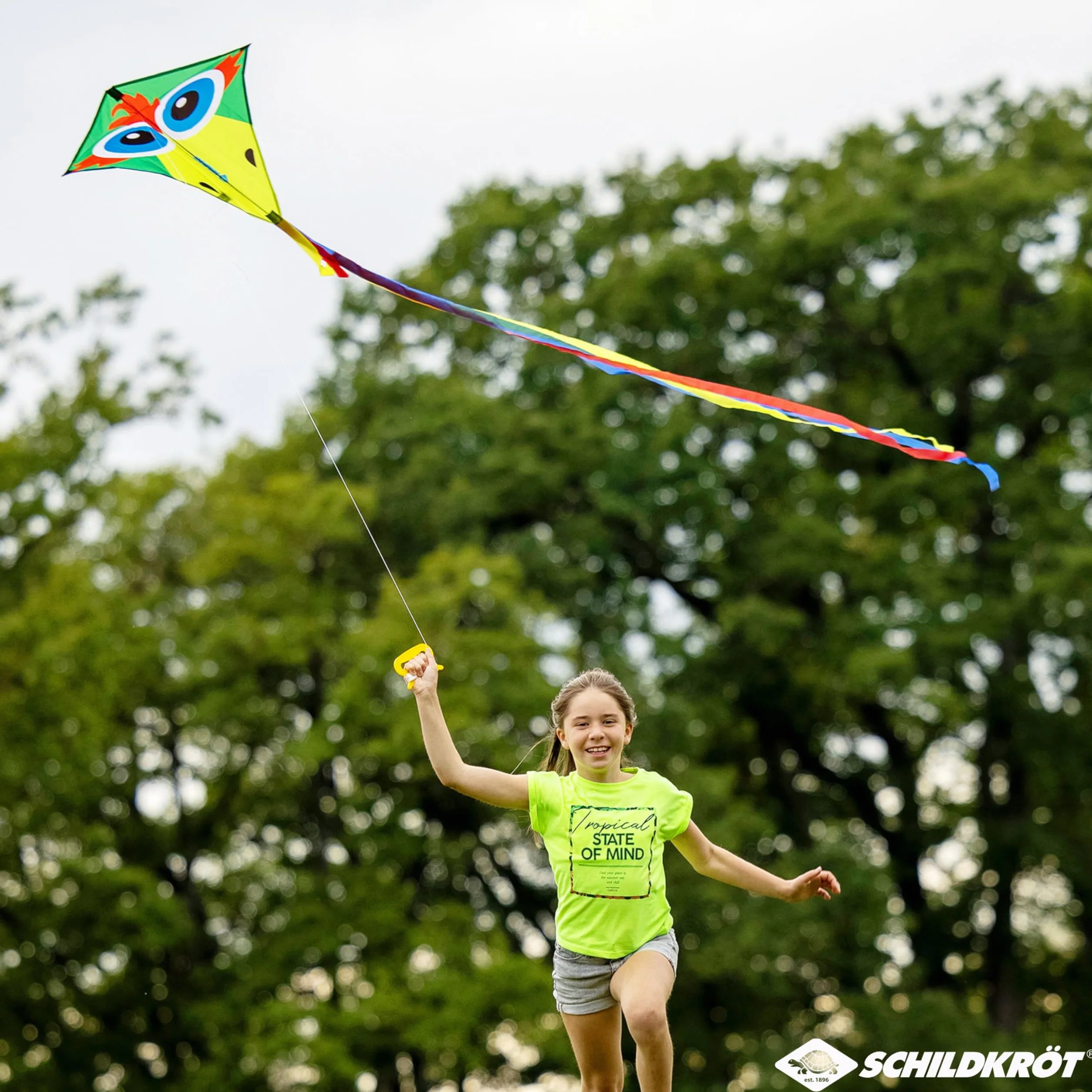 Schildkröt Classic Kite 70, klasyczny kształt, poliester Ripstop z prętami z włókna szklanego, długość 250 cm, 3-częściowy smoczy ogon, 5 kp linka poliestrowa z uchwytem