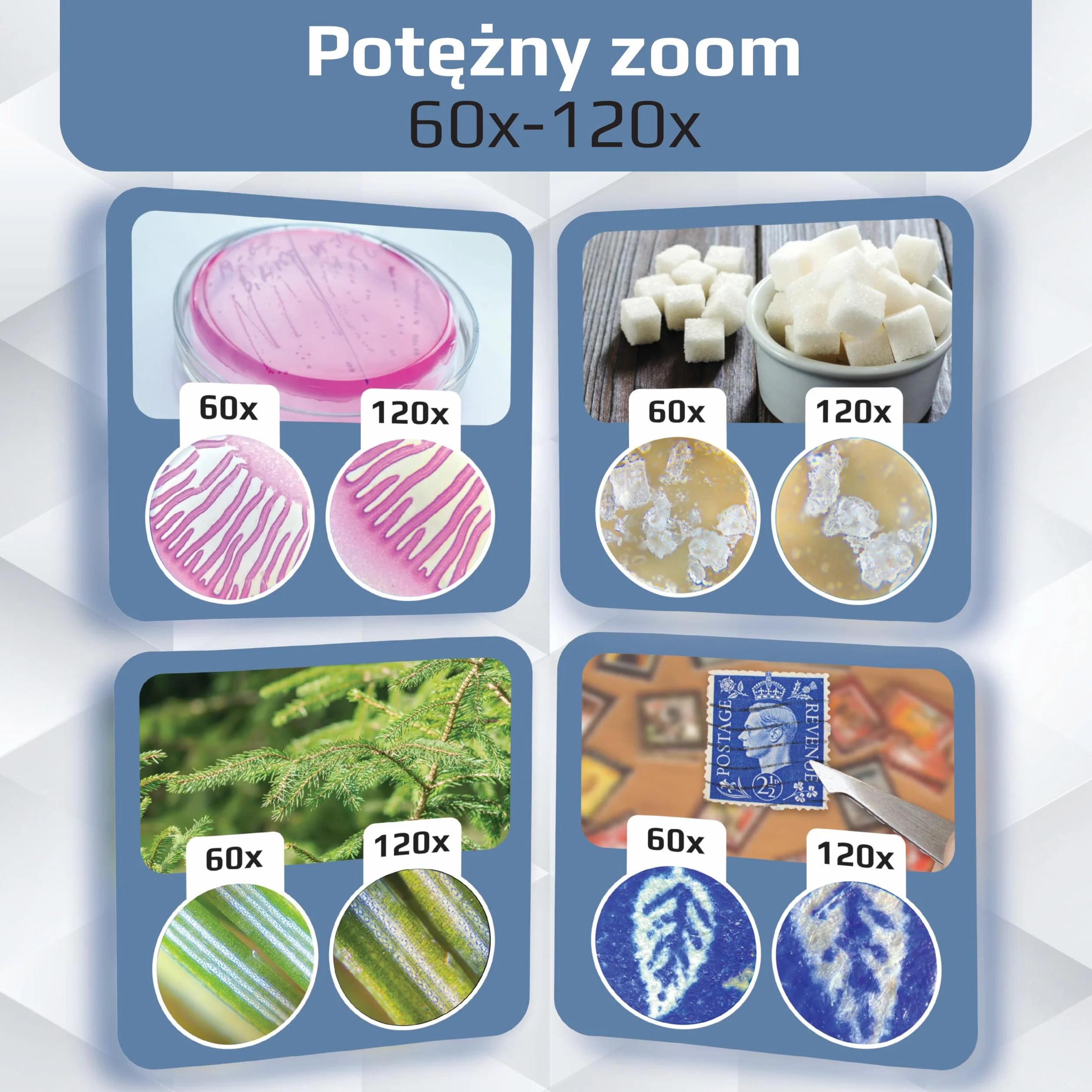 Carson MicroBrite Plus 60x-120x LED Kieszonkowy Mikroskop - Zestaw 4 sztuk (MM-300MU), Czarny/Szary