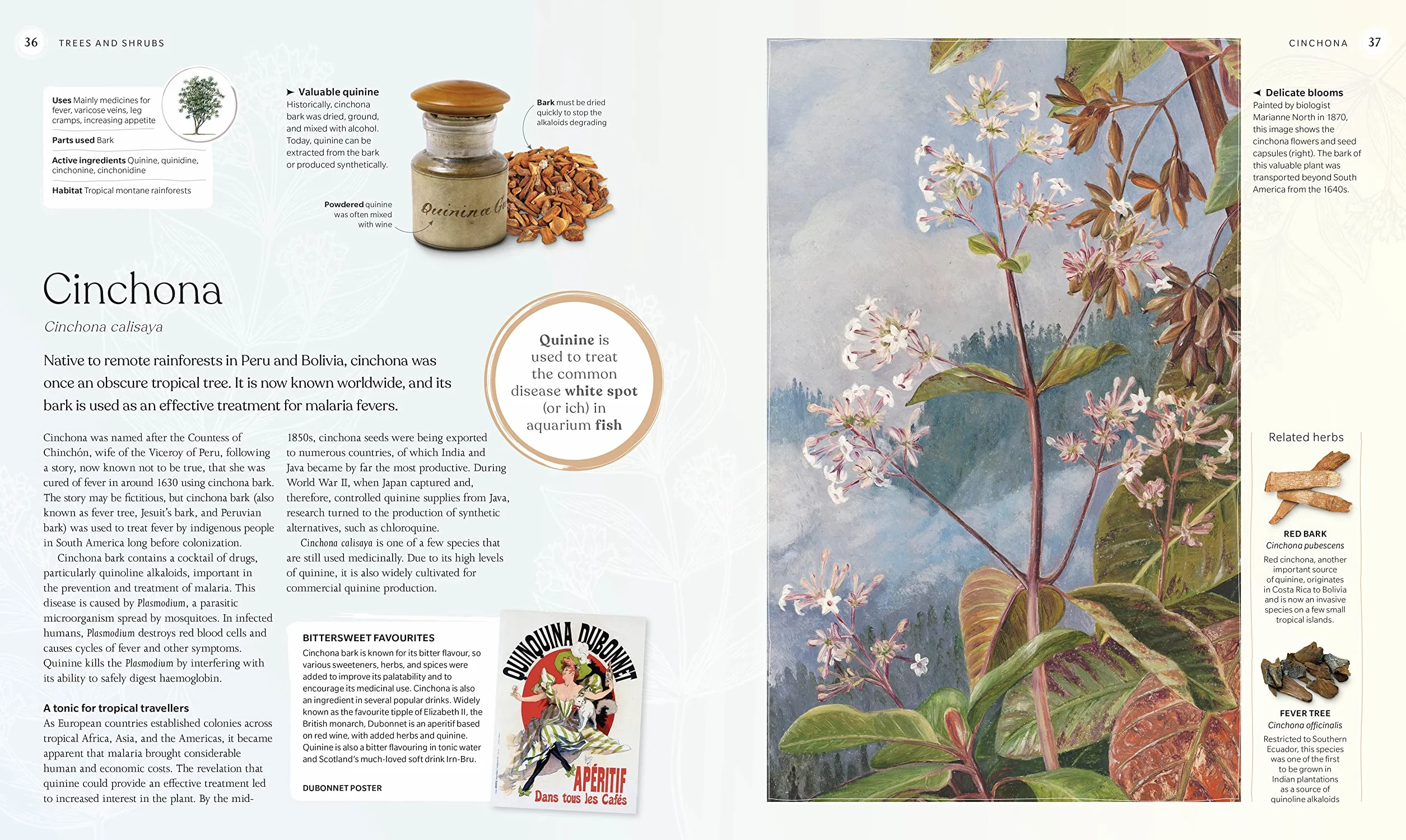 The Herb Book: The Stories, Science, and History of Herbs