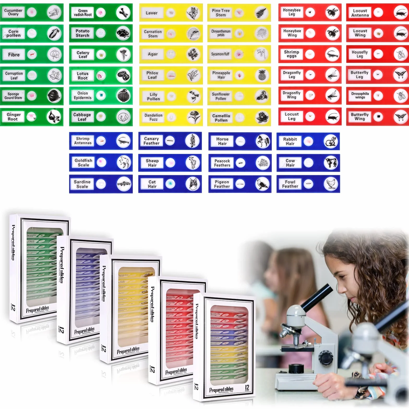 Vegena 60 sztuk szkiełek mikroskopowych, preparaty do mikroskopu dla dzieci z owadami, zwierzętami, kwiatami, roślinami, próbkami biologicznymi z tworzywa sztucznego, akcesoria dla studentów, do