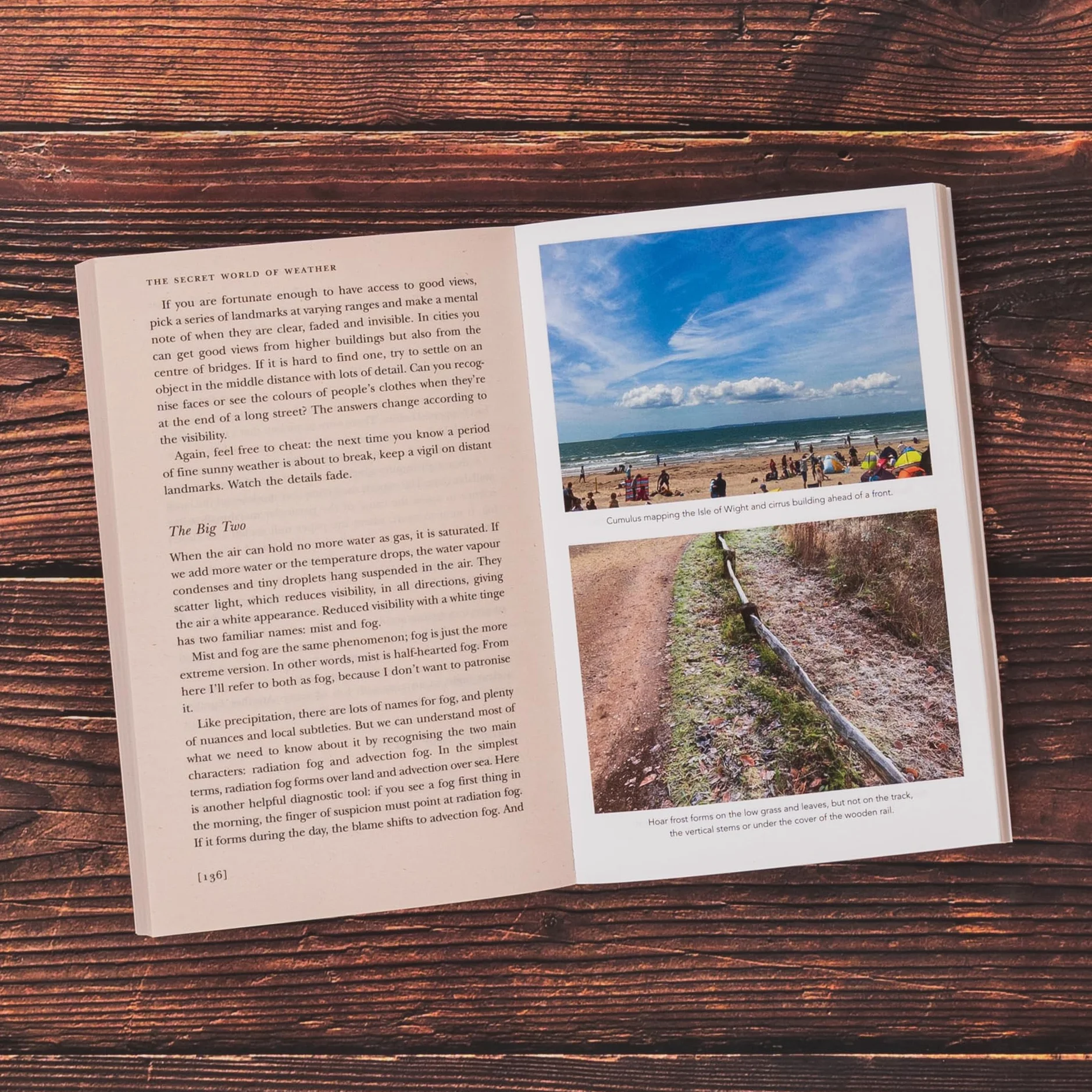 The Secret World of Weather: A must-have for all nature lovers - perfect reading for your springtime adventures