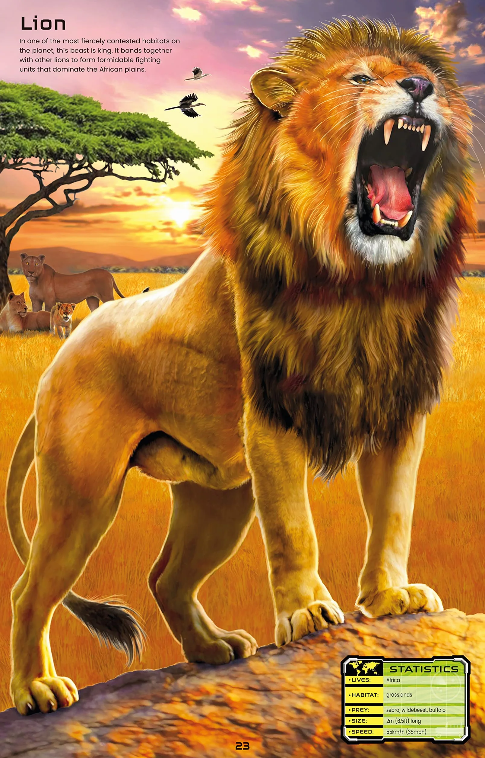 Build Your Own Deadly Animals (Build Your Own Sticker Book): 1