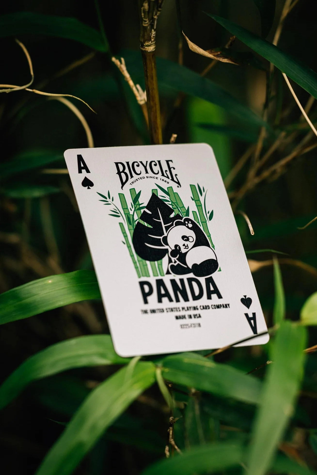 Bicycle Panda (Designer Spielkarten, Poker, Skat...)