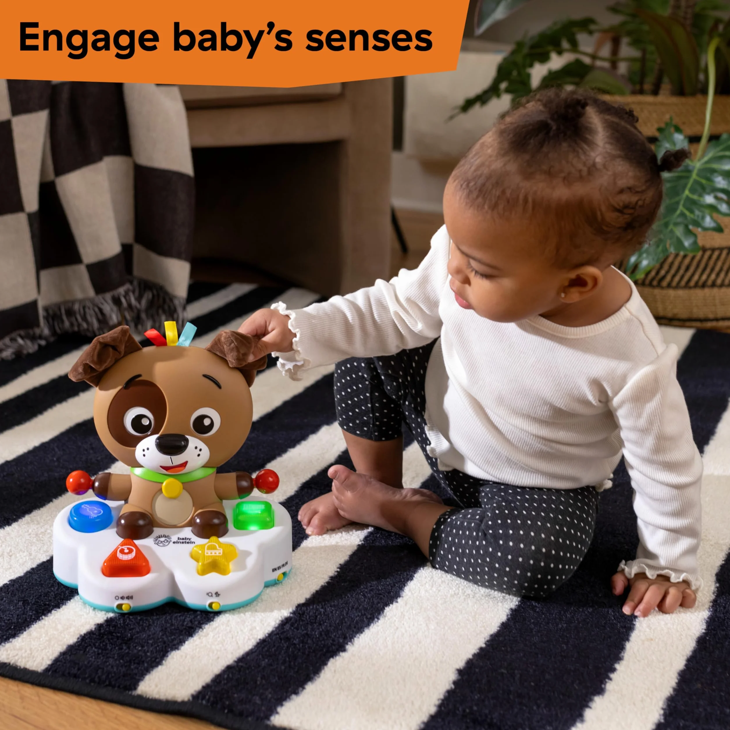 Baby Einstein, Drum & Learn Dean zabawka muzyczna dla dzieci od 6 miesięcy