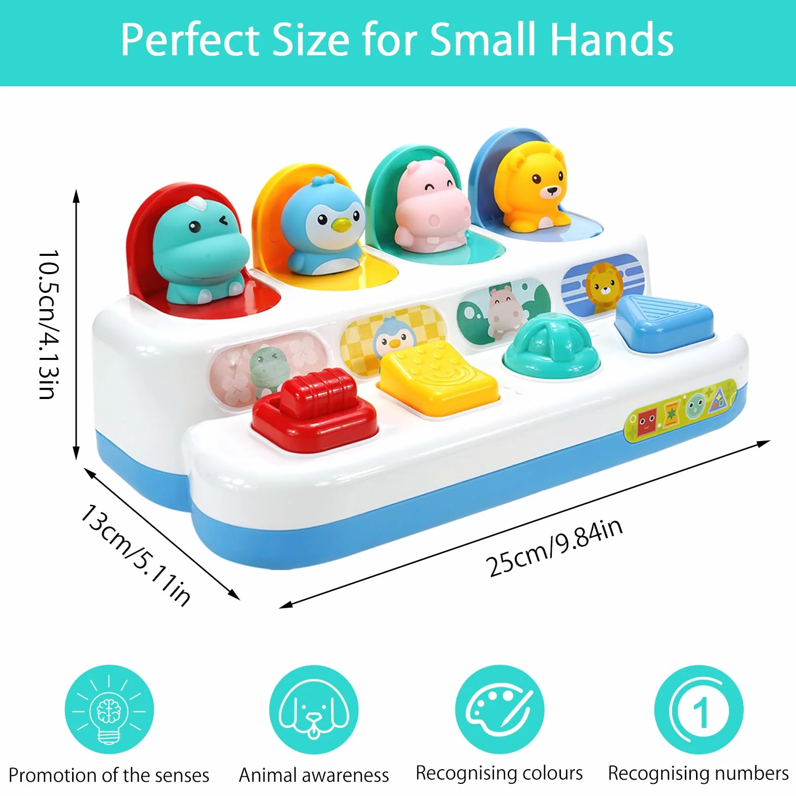 Pop up Baby Zabawka od 12 miesięcy, Montessori Zabawka od 1 roku Zabawka motoryczna od 6 miesięcy Wczesny rozwój Przyczyna & skutek Zabawka edukacyjna Niemowlęce prezenty na Wielkanoc Chłopiec