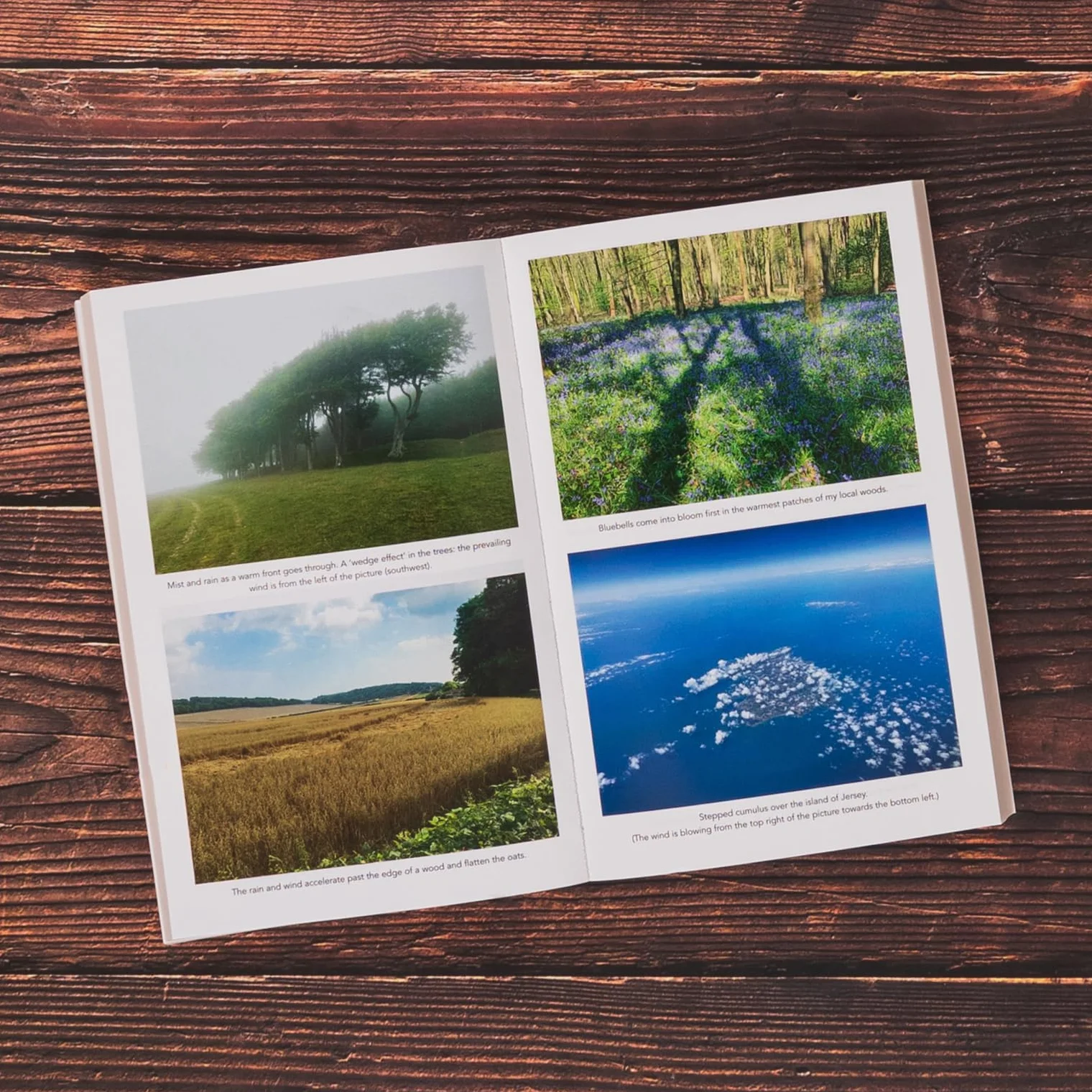 The Secret World of Weather: A must-have for all nature lovers - perfect reading for your springtime adventures