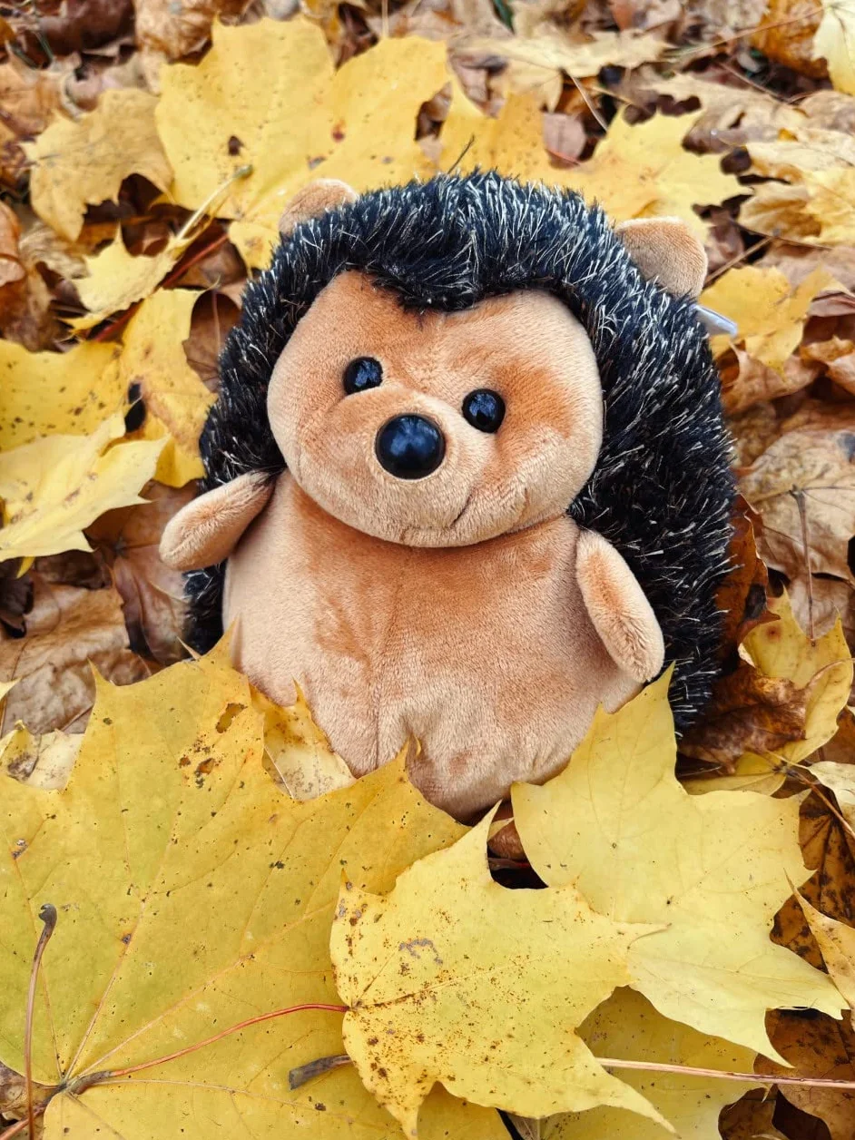 FANCY Pluszowy Jeż 20 cm, Wesoła Zabawka dla Dzieci 0+ i Dorosłych, Maskotka Jeż, Pluszowe Zwierzątka Mini Pluszak