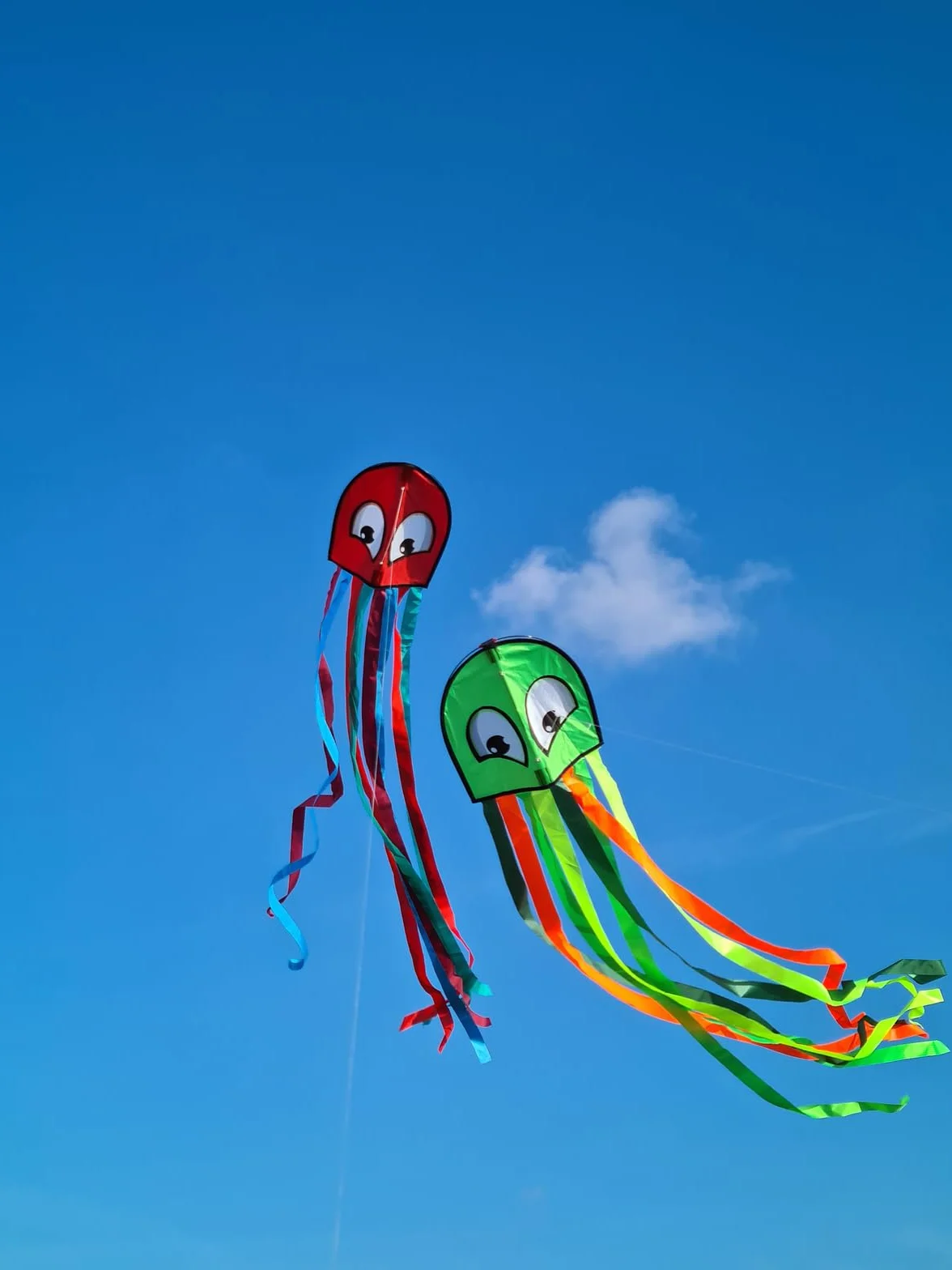 Günther Flugspiele 1163 - Latawiec jednolinkowy Octopus, ok. 250 x 33 cm, latawiec dla dzieci wykonany z wytrzymałego poliestru, z uchwytem i sznurkiem, wieku od 4 lat, w asortymencie w 2 kolorach
