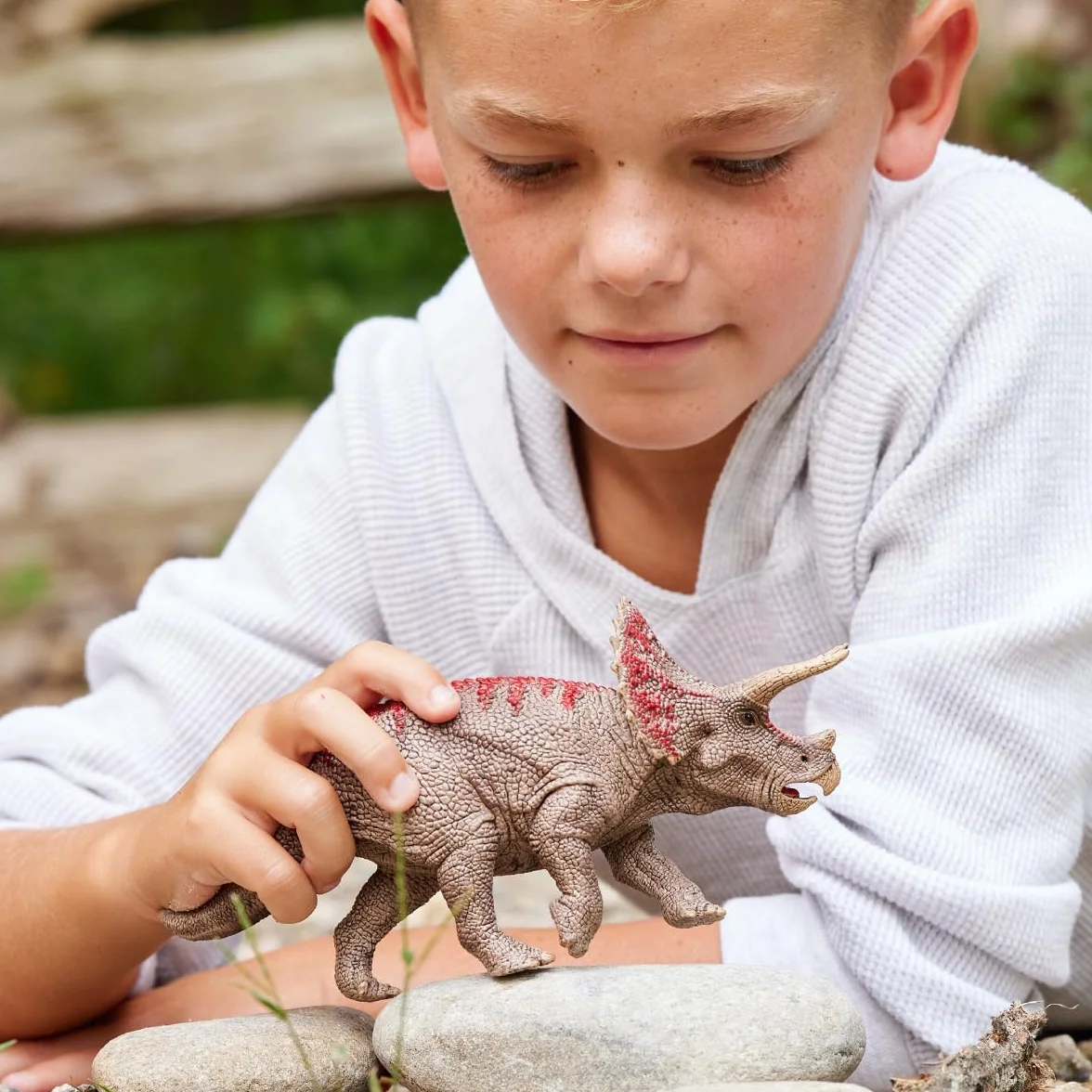 Triceratops