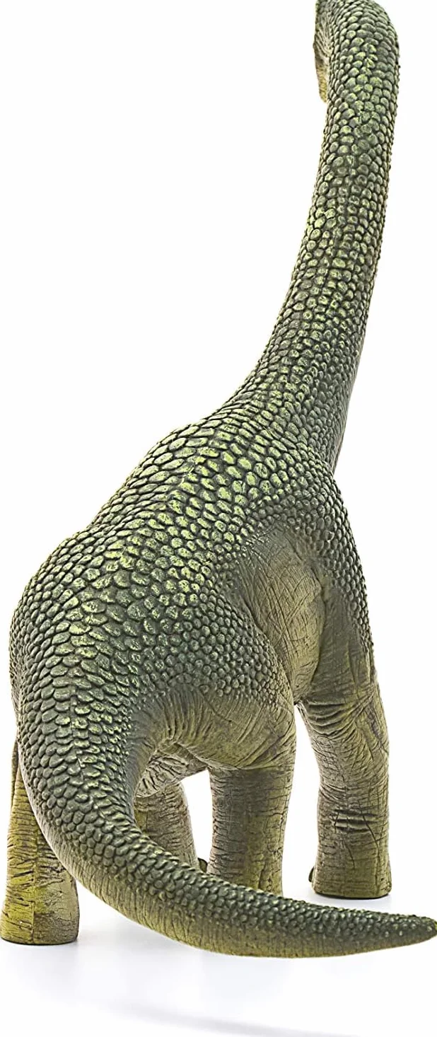 schleich DINOSAURS | Brachiozaur 14581 | Realistyczna figurka schleich Dino | Zabawka dinozaur do kolekcjonowania | Świetny prezent dla dziewczynek i chłopców | Zabawka od 3 lat | 30 x 12 x 19 cm