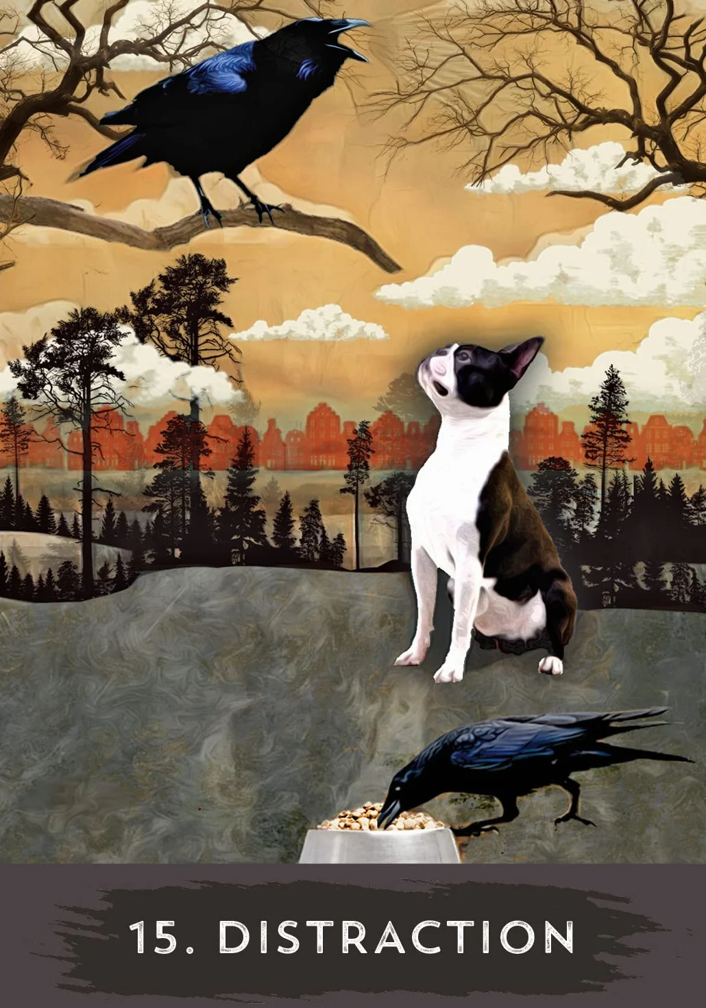 Urban Crow Oracle: A 54-Card Deck and Guidebook