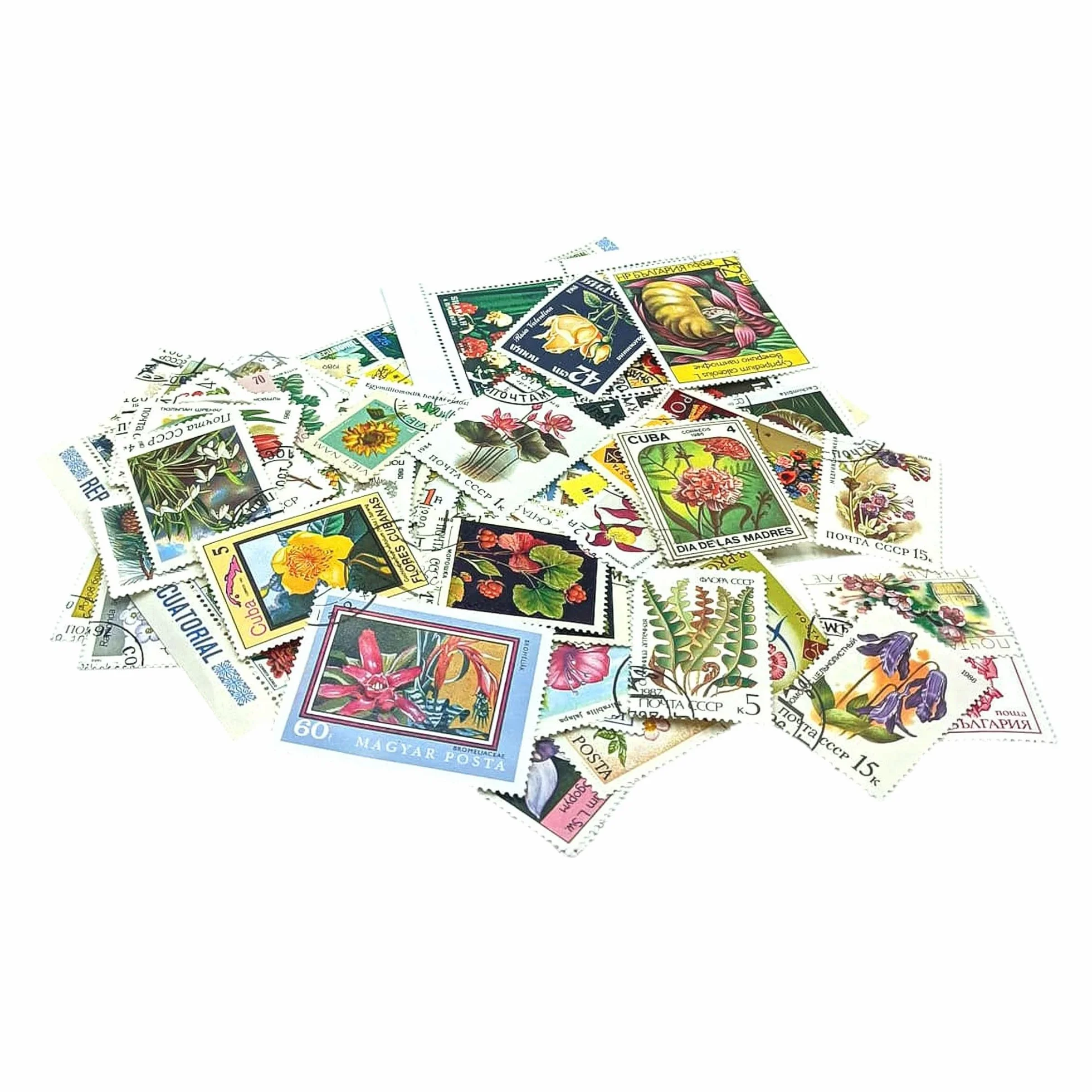 IMPACTO COLECCIONABLES Kolekcja 100 znaczków z motywem kwiatów i roślin z albumami (14 x 18 x 1 cm) | Podnieś swoją kolekcję filatelistyczną autentycznymi znaczkami w kompaktowym i eleganckim albumie