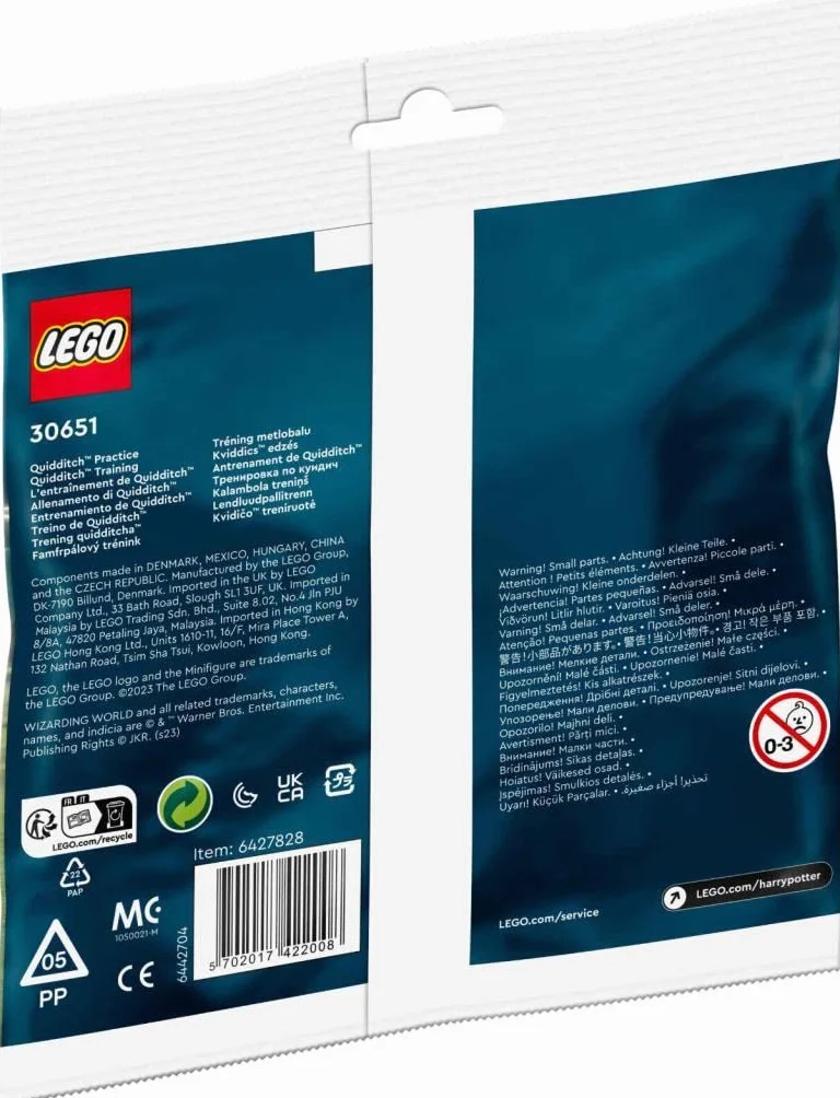 LEGO Harry Potter Trening quidditcha (30651) [KLOCKI]