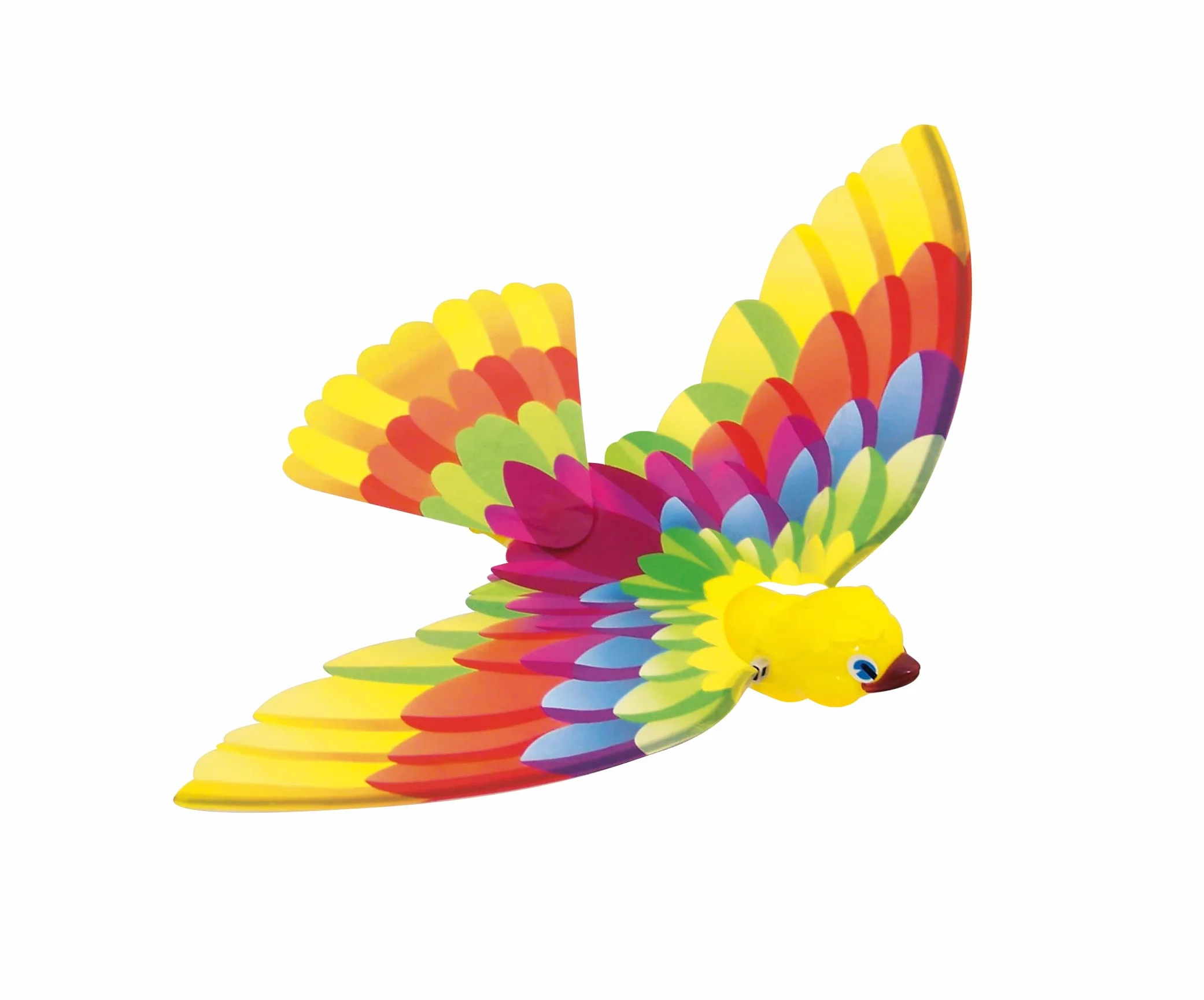 Caly 102F TIMMY Bird