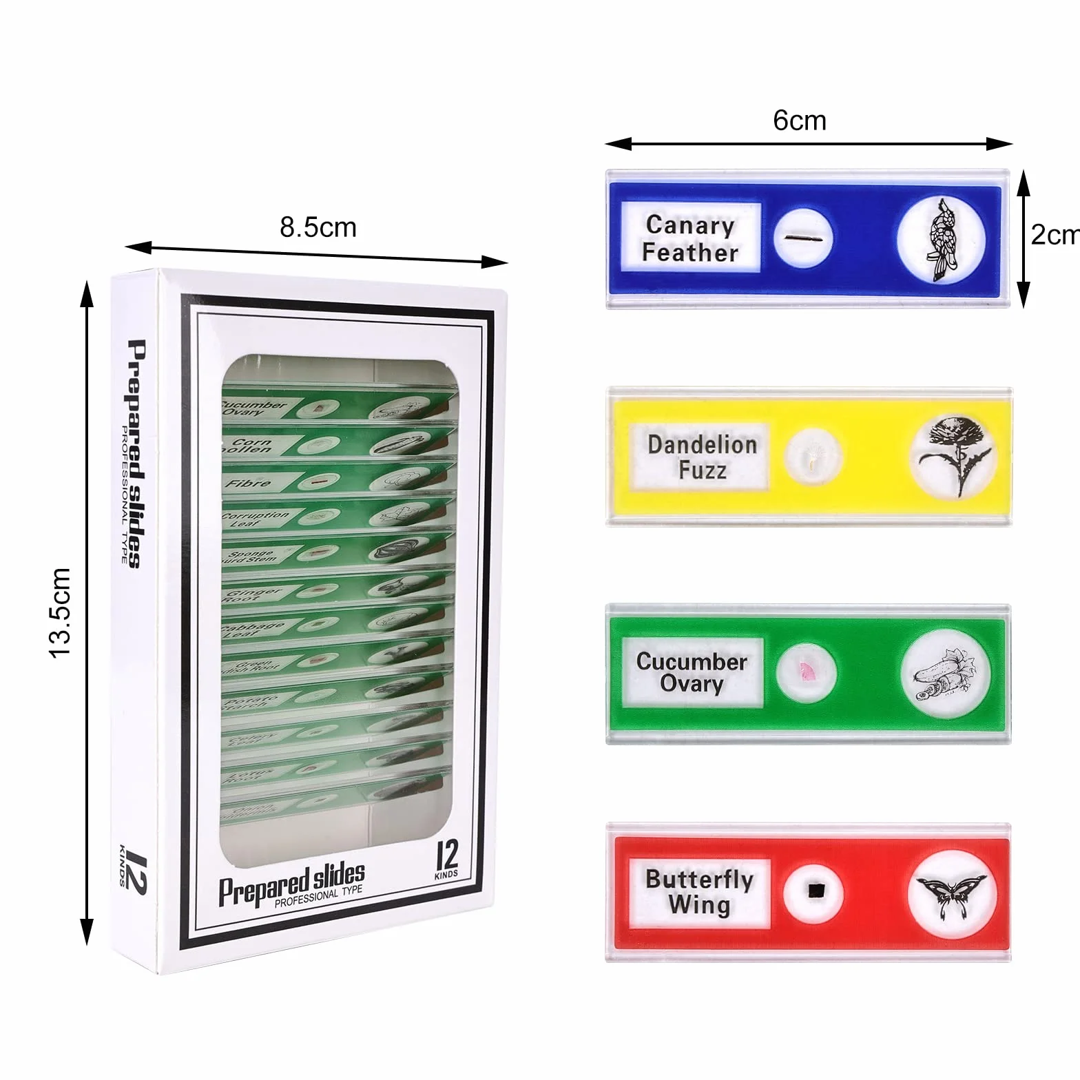 Vegena 60 sztuk szkiełek mikroskopowych, preparaty do mikroskopu dla dzieci z owadami, zwierzętami, kwiatami, roślinami, próbkami biologicznymi z tworzywa sztucznego, akcesoria dla studentów, do