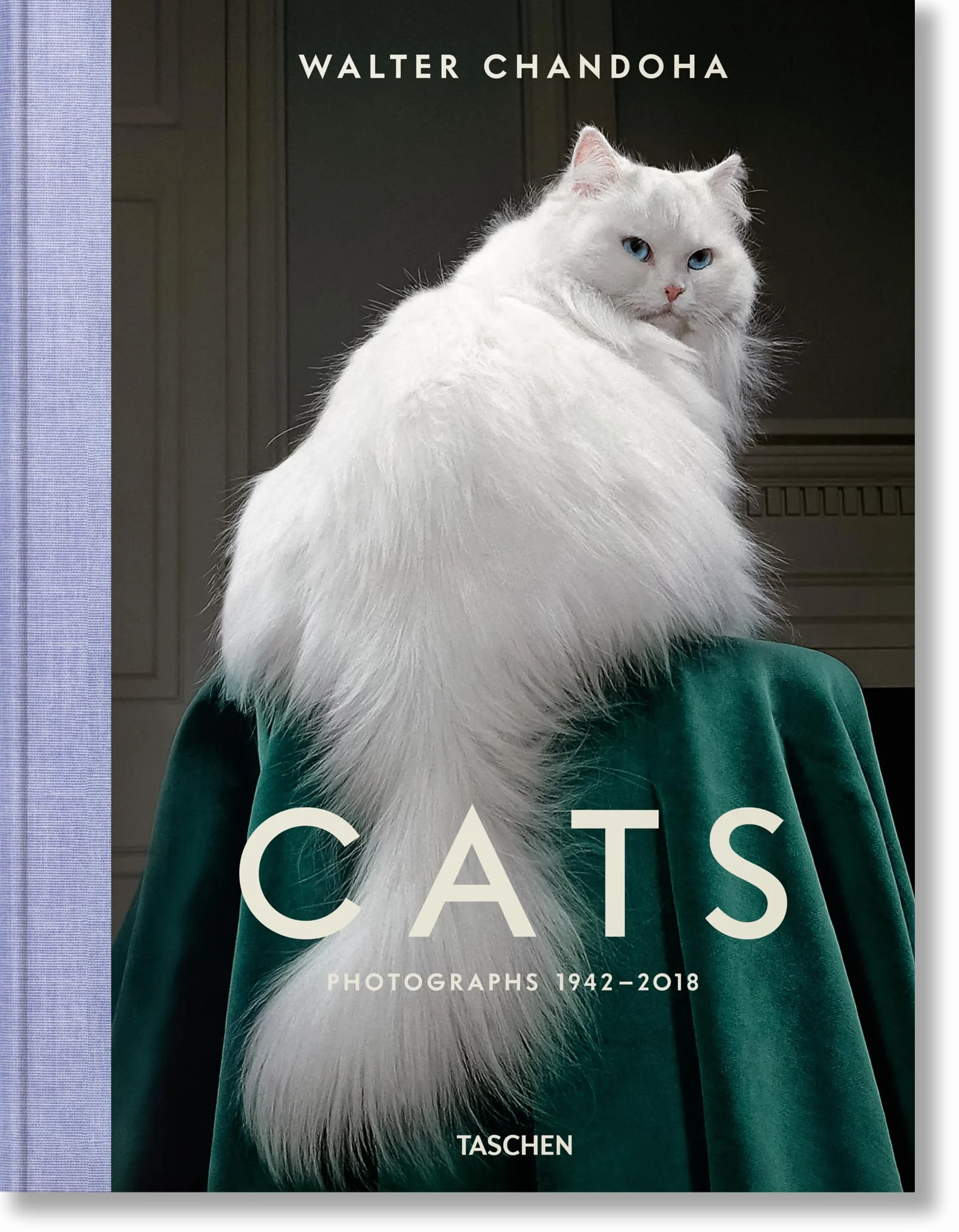 Cats: Photographs (1942-2018)