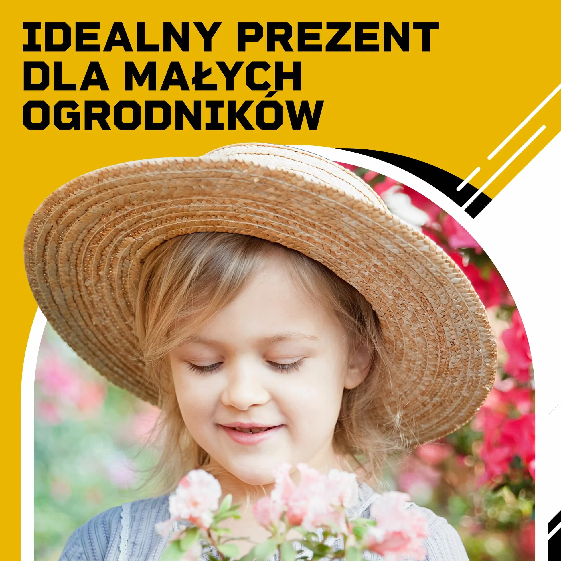 DIBYS Zestaw do Uprawy dla Dzieci | Kompletny Zestaw Ogrodowy z Nasionami Kwiatów, Drewnianymi Narzędziami, Ziemią, Farbami i Skrzynką do Malowania | Kreatywny Pomysł na Prezent | Zestaw Roślin