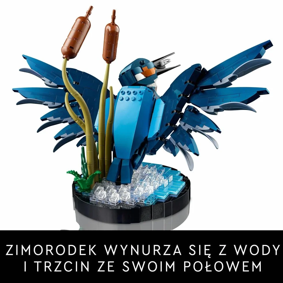 LEGO Icons Zimorodek, Model Ptaka z Klocków do Zbudowania, Kreatywny zestaw dla Dorosłych Miłośników Ornitologii, Dekoracje do Domu i Ozdoba na Biurko, Pomysł na Prezent dla Niej i dla Niego, 10331