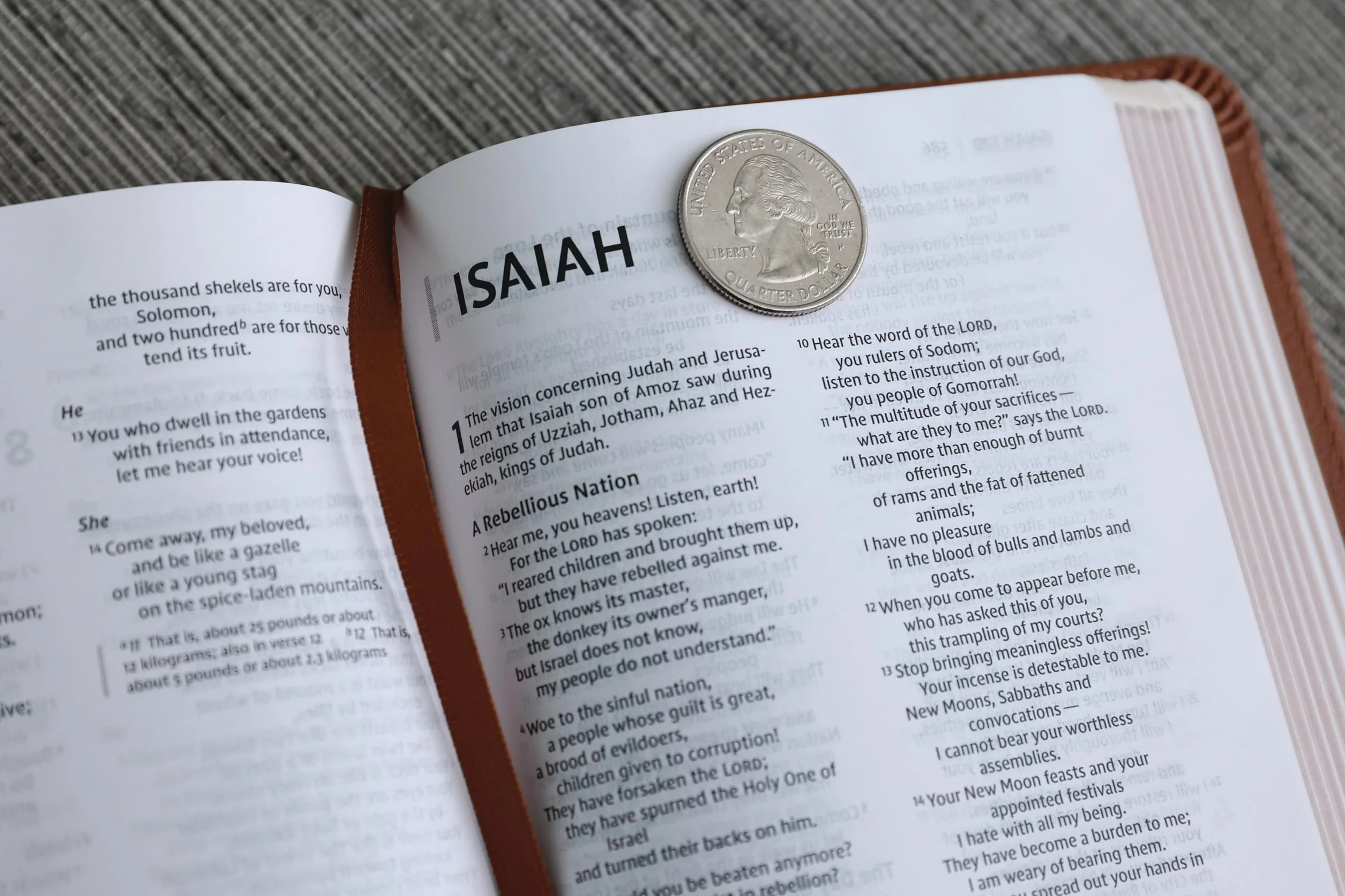 Niv, Thinline Bible, Compact, Leathersoft, Brown, Red Letter, Comfort Print: New International Version, Brown, Leathersoft, Thinline, Red Letter, Comfort Print