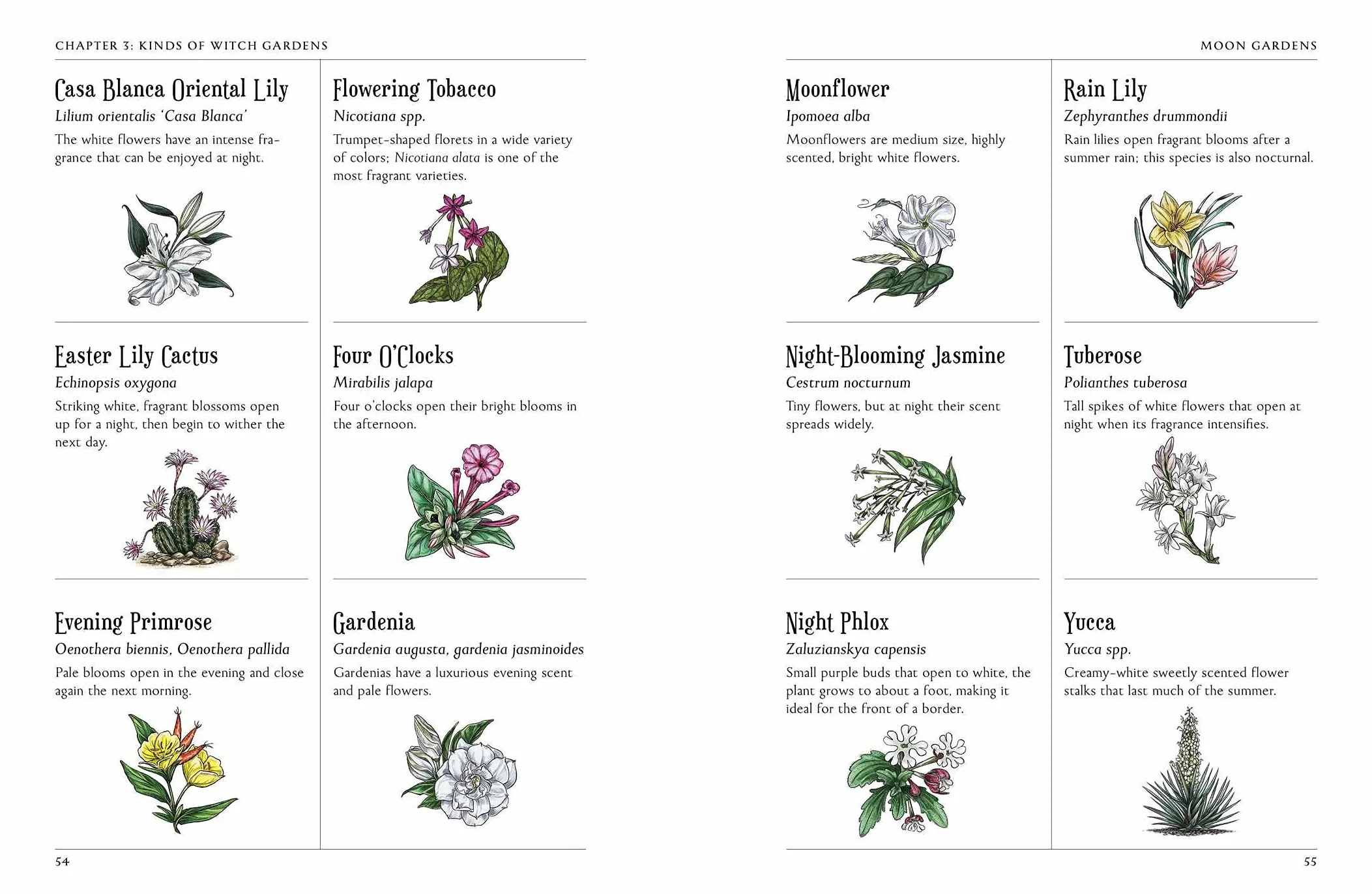 The Green Witch's Garden: Your Complete Guide to Creating and Cultivating a Magical Garden Space