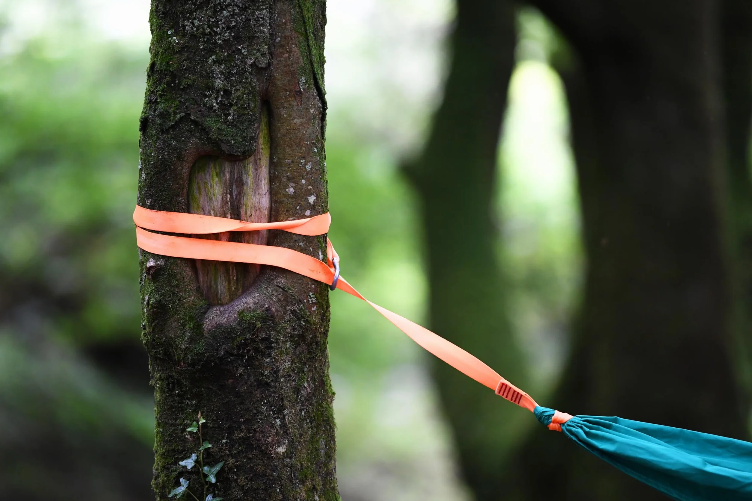 Swing, Hape Pocket Swing For Kids And Adults (Nature Fun Outdoor Toys Series). 5 years +