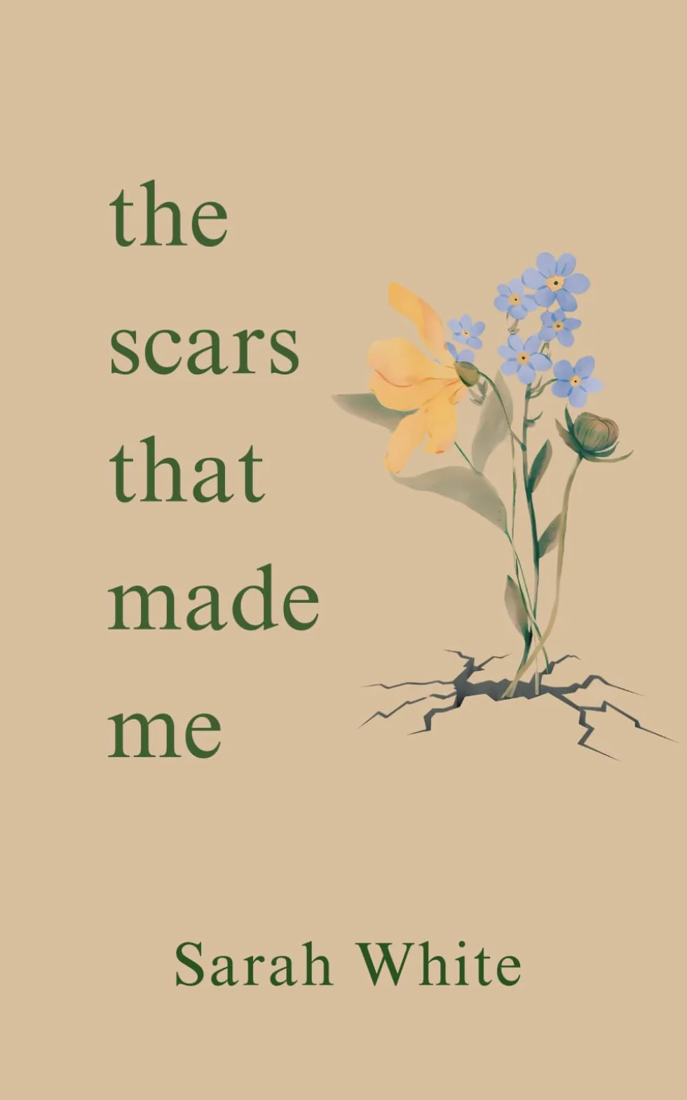 the scars that made me