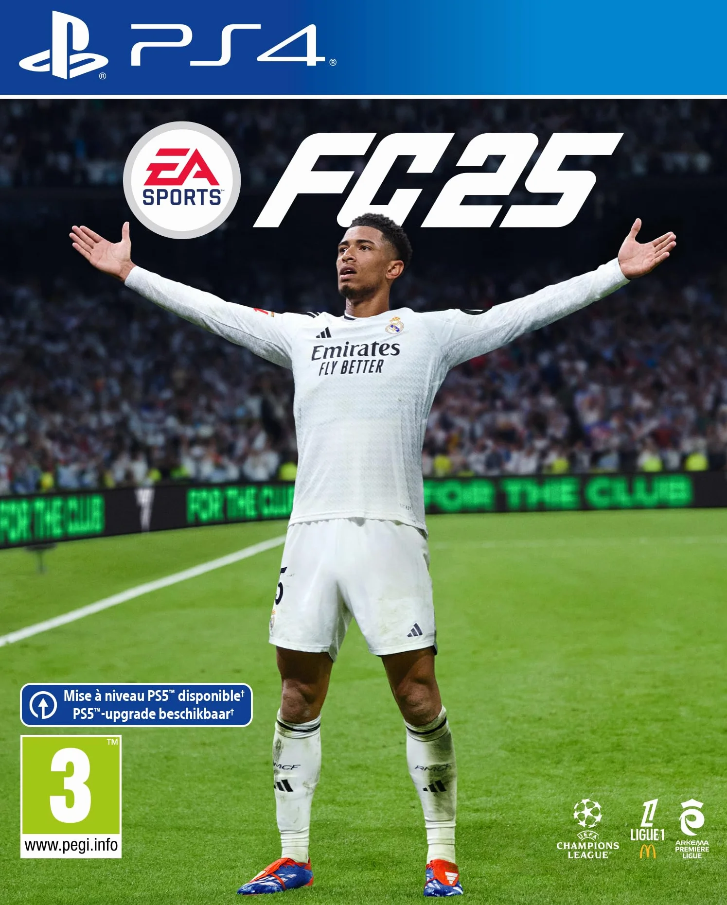 Electronic Arts Gra wideo Playstation 4 FC25 – marka EAN: 5030936125374