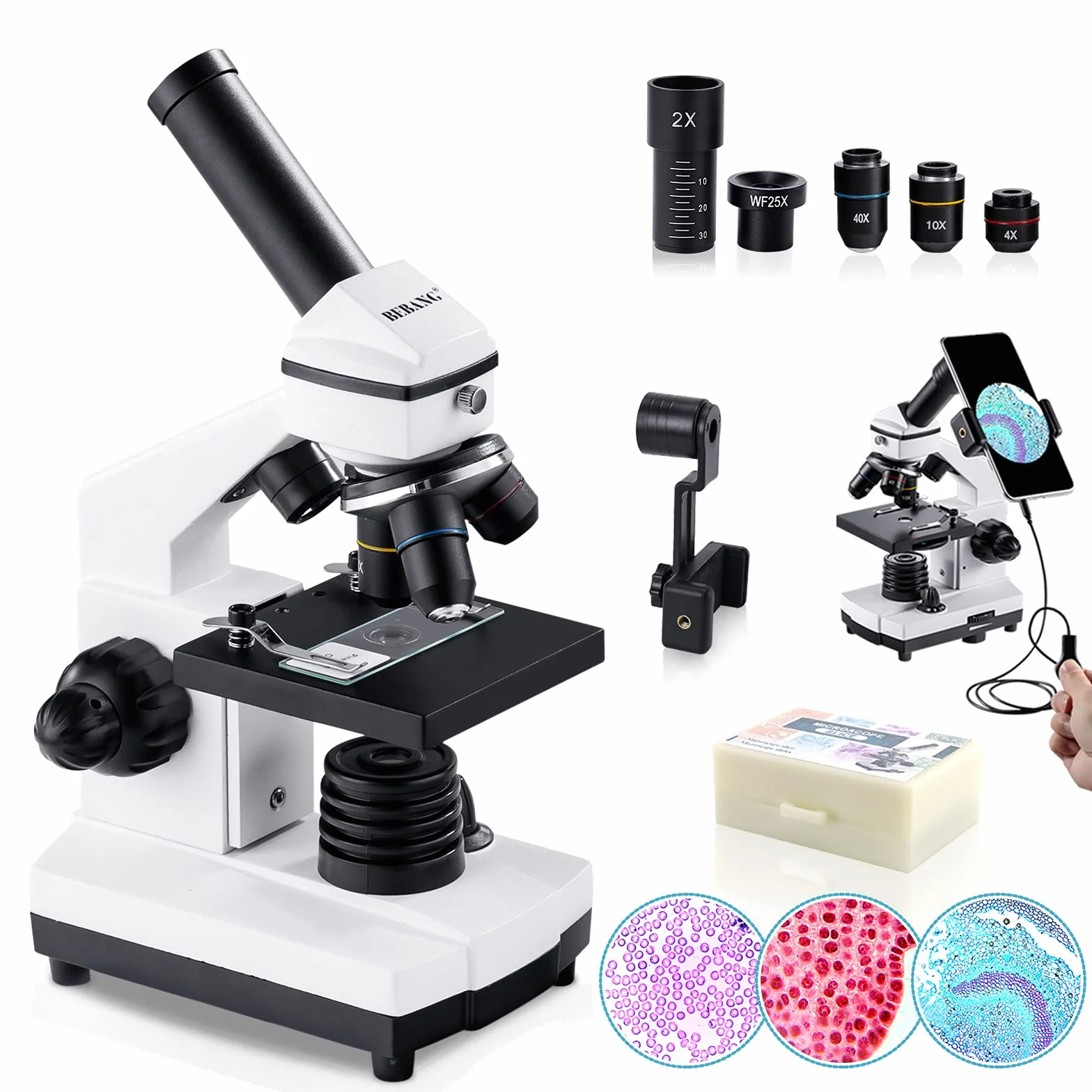 BEBANG 100X-2000X Mikroskop dla dzieci dorosłych, profesjonalny mikroskop biologiczny dla studentów szkolnych laboratorium
