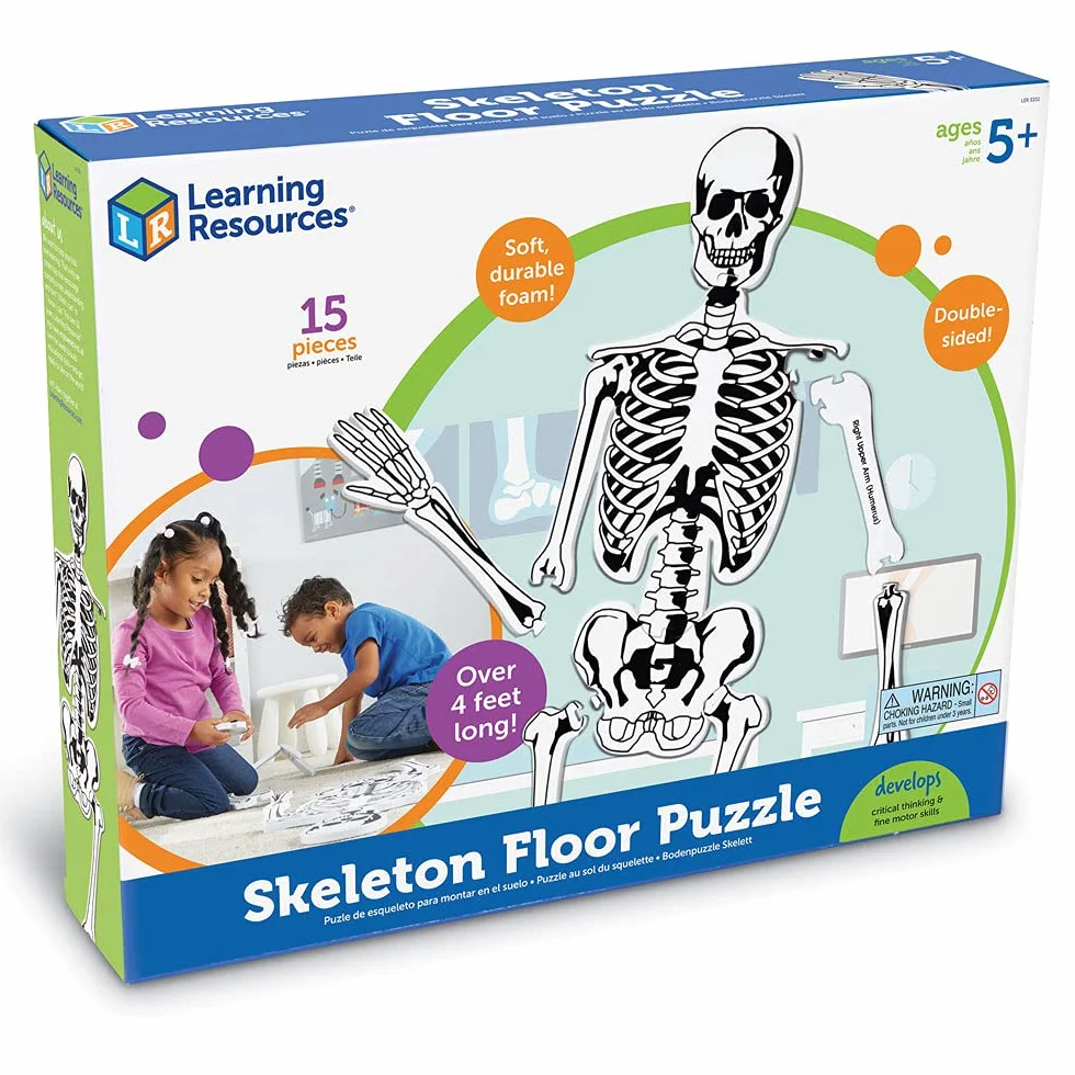 Learning Resources Szkielet Piana Pietro Puzzle 15-Kawałek Zestaw