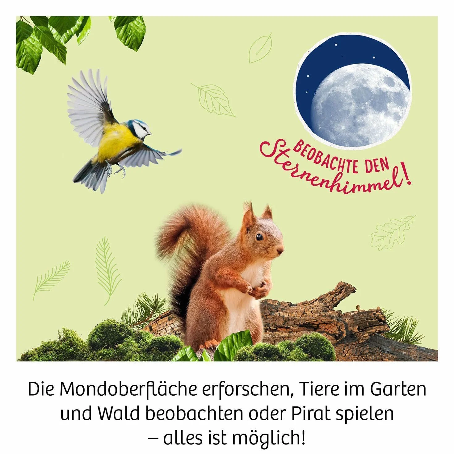 Fernrohr: Experimentierkasten