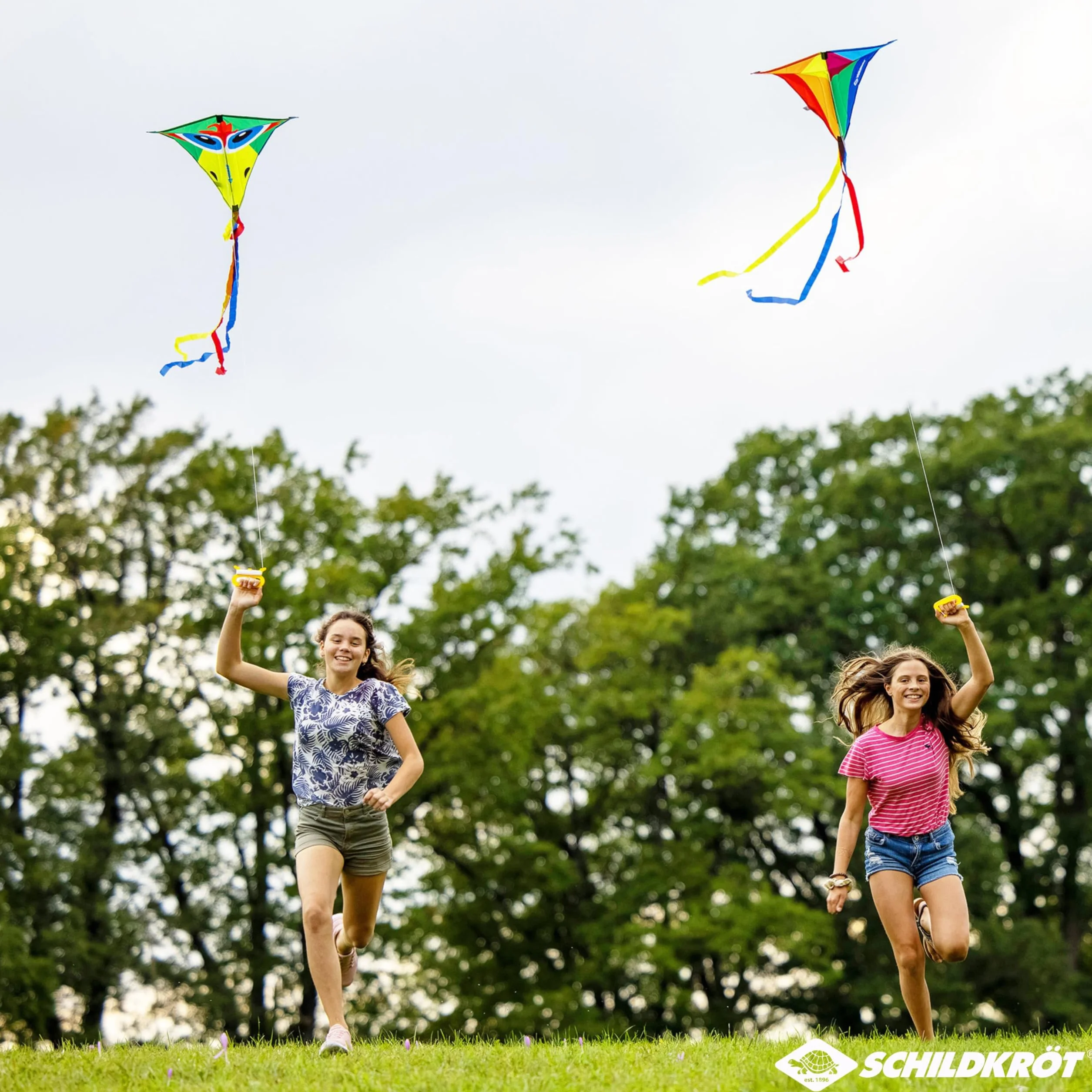 Schildkröt Classic Kite 70, klasyczny kształt, poliester Ripstop z prętami z włókna szklanego, długość 250 cm, 3-częściowy smoczy ogon, 5 kp linka poliestrowa z uchwytem