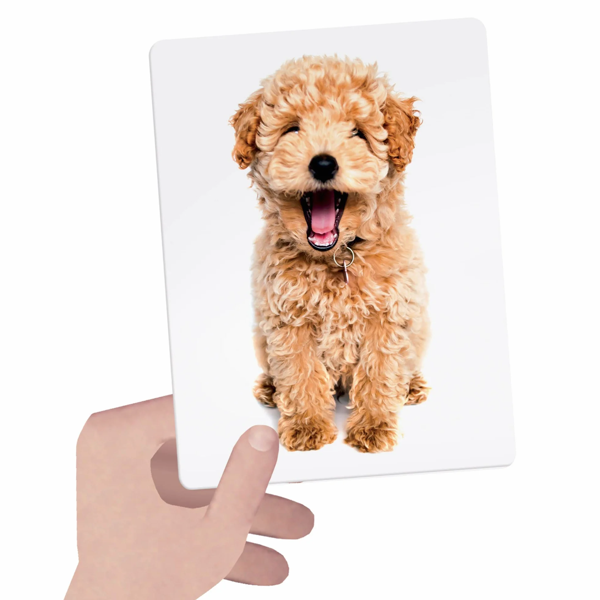 Headu - Flashcards Tactile Montessori (MU23738)