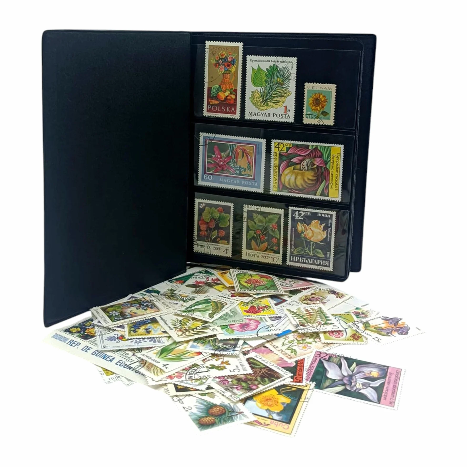 IMPACTO COLECCIONABLES Kolekcja 100 znaczków z motywem kwiatów i roślin z albumami (14 x 18 x 1 cm) | Podnieś swoją kolekcję filatelistyczną autentycznymi znaczkami w kompaktowym i eleganckim albumie